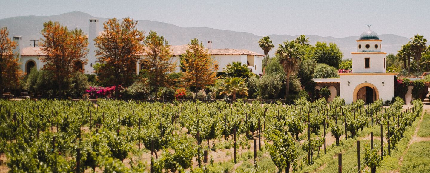valle de Guadalupe wedding venues - adobe guadalupe