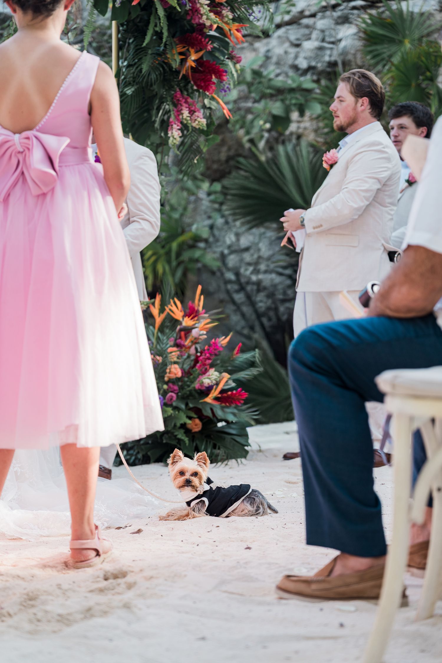 Small Yorkshire Terrier dog in formal attire at an outdoor beach wedding ceremony with tropical floral decorations.