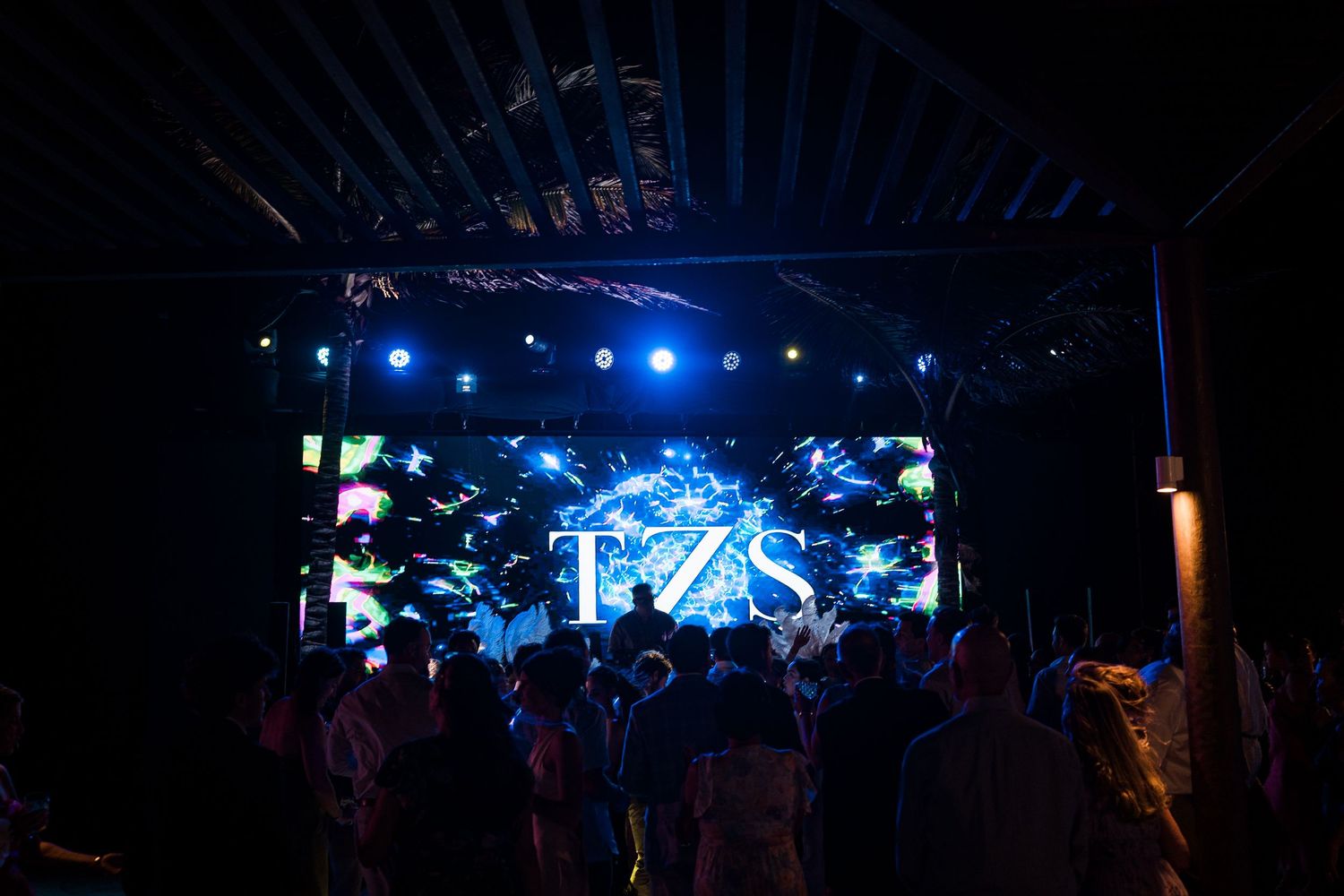 Crowd at an outdoor night concert with vibrant LED screen displaying FZS logo and colorful tropical visuals.
