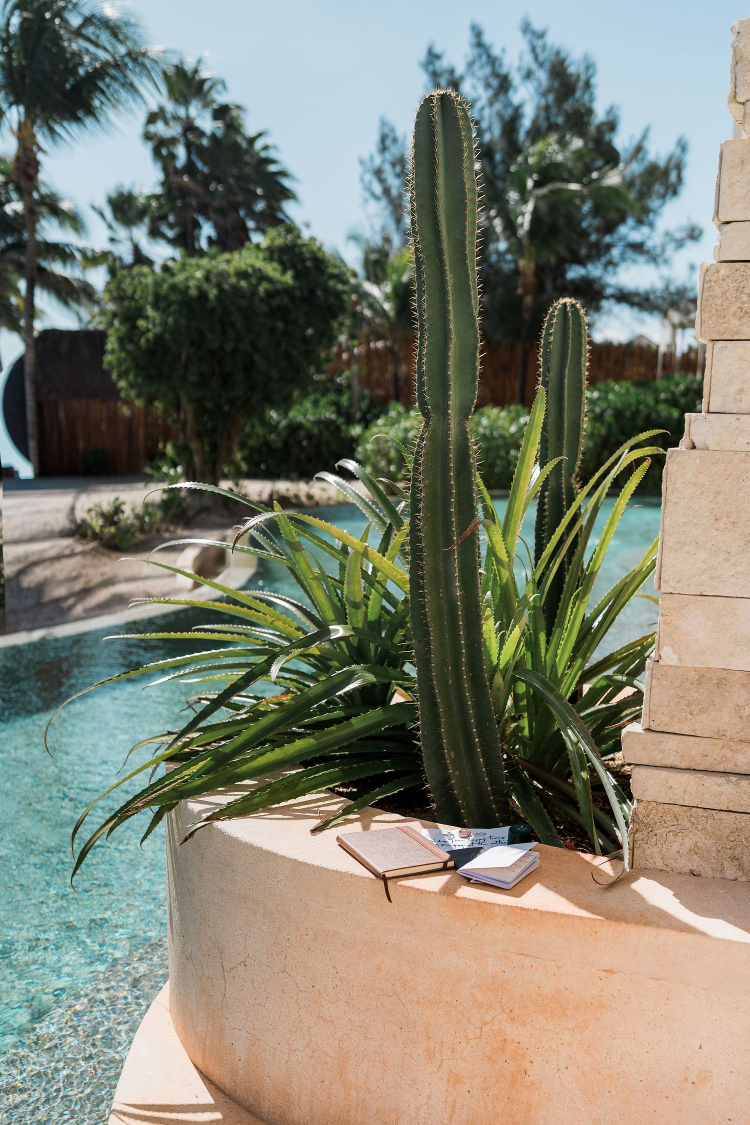 Secrets Akumal Wedding - Tall cactus and tropical plants in a stone planter beside a resort pool, with palm trees and blue sky.