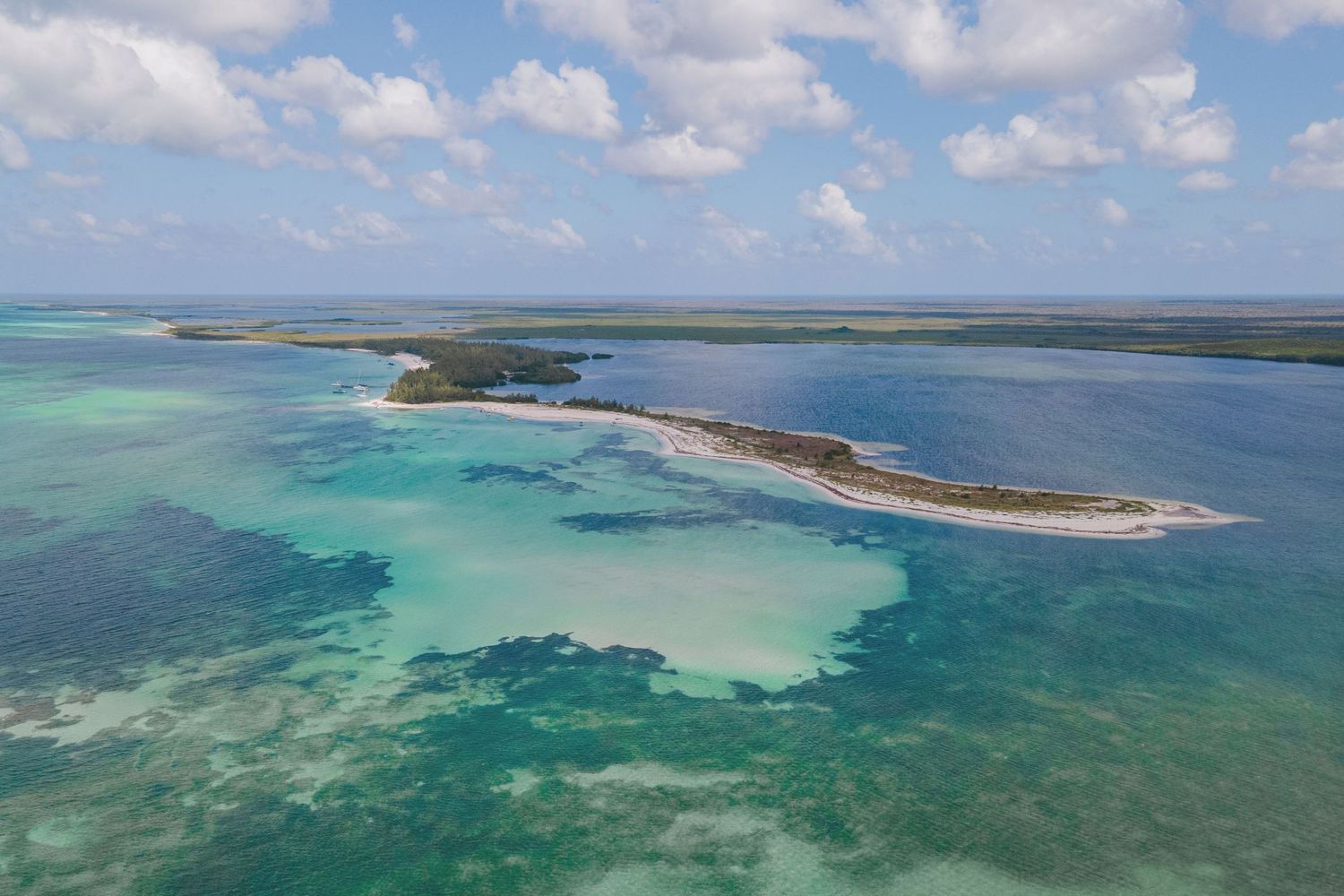 destination wedding in Cozumel mexico