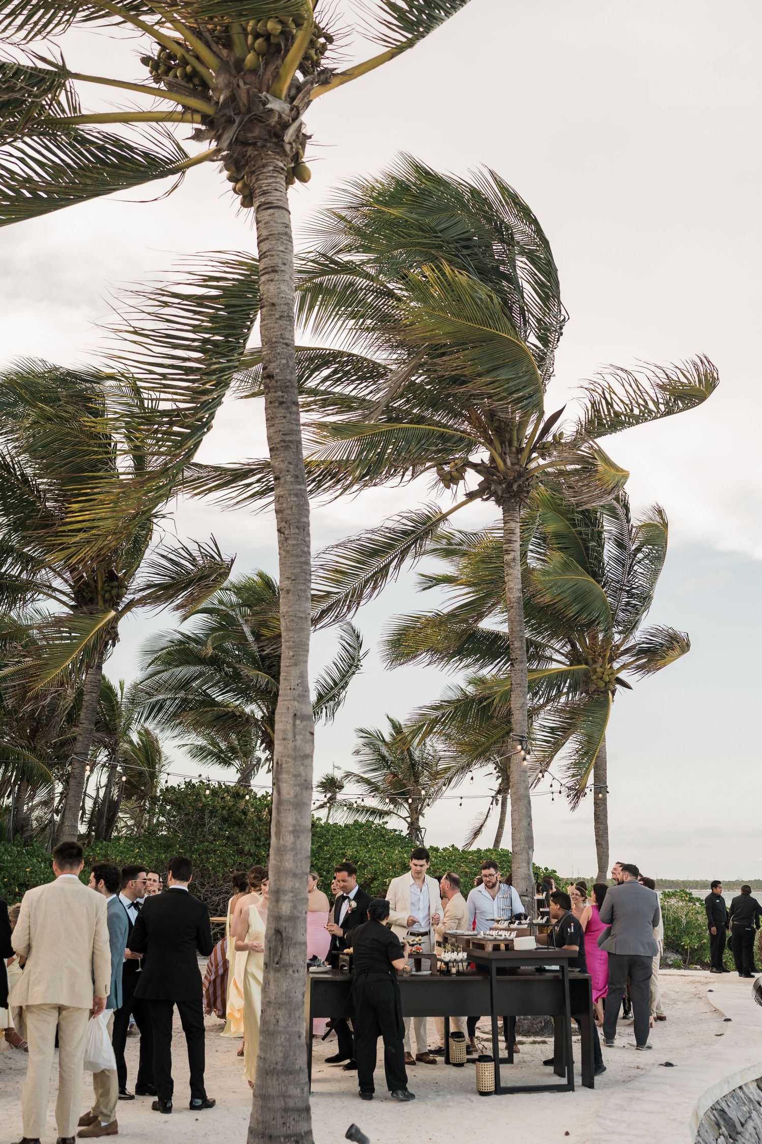 Guests mingle at a beachside outdoor reception with palm trees swaying in the wind on a tropical coastline.