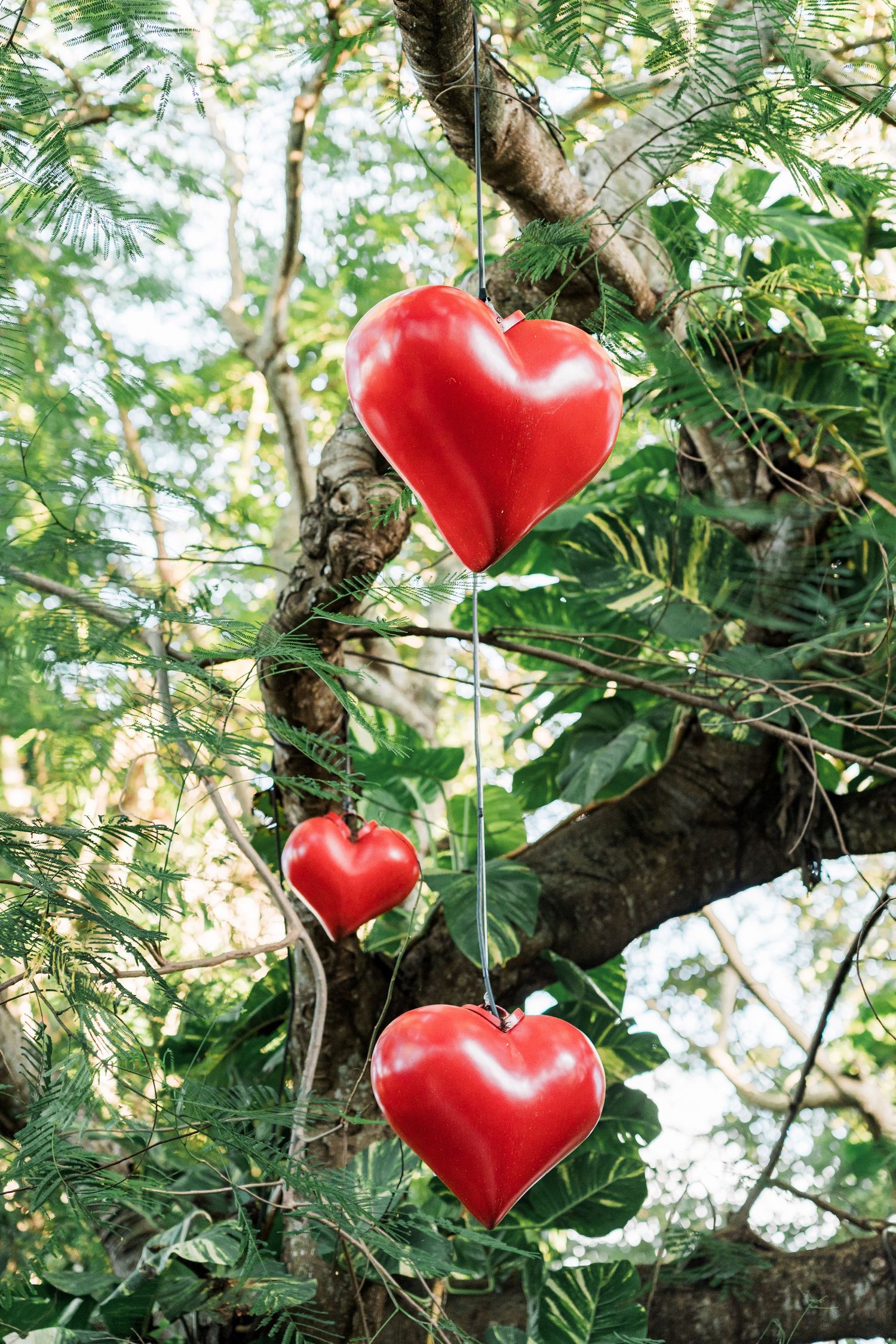 Secrets Akumal Wedding - Three red heart-shaped ornaments hanging from a tree branch surrounded by lush green foliage outdoors.