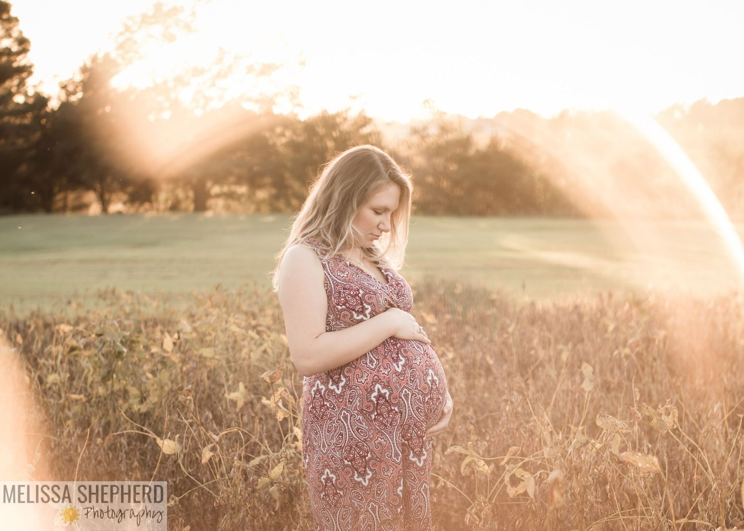 Maternity golden hour farm portrait Burgaw, NC