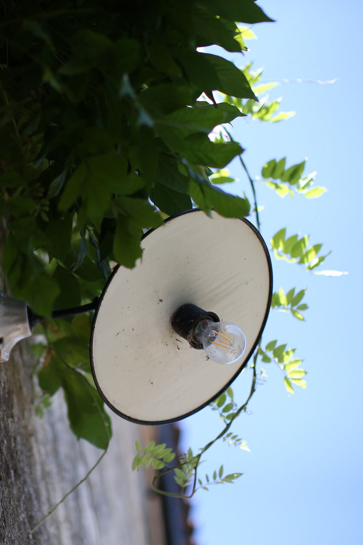 A residential light fixture mounted on a wall with green foliage visible in the background against a blue sky.