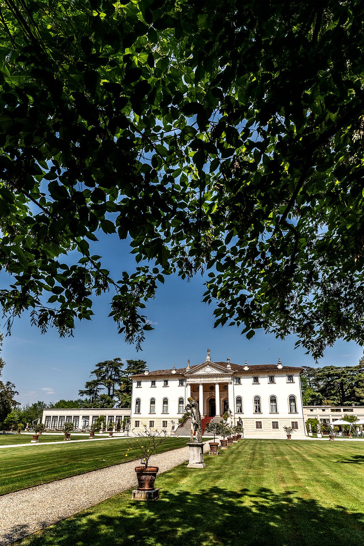 Elegant white neoclassical villa with columned portico and manicured lawn framed by overhanging tree branches on sunny day.