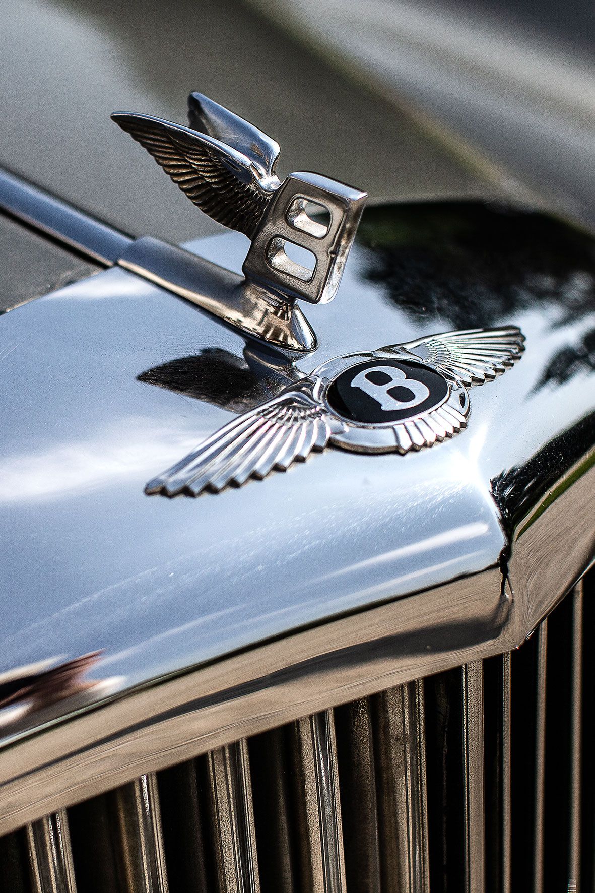 Close up detail of a classic Bentley hood ornament with chrome wings against reflective paint.