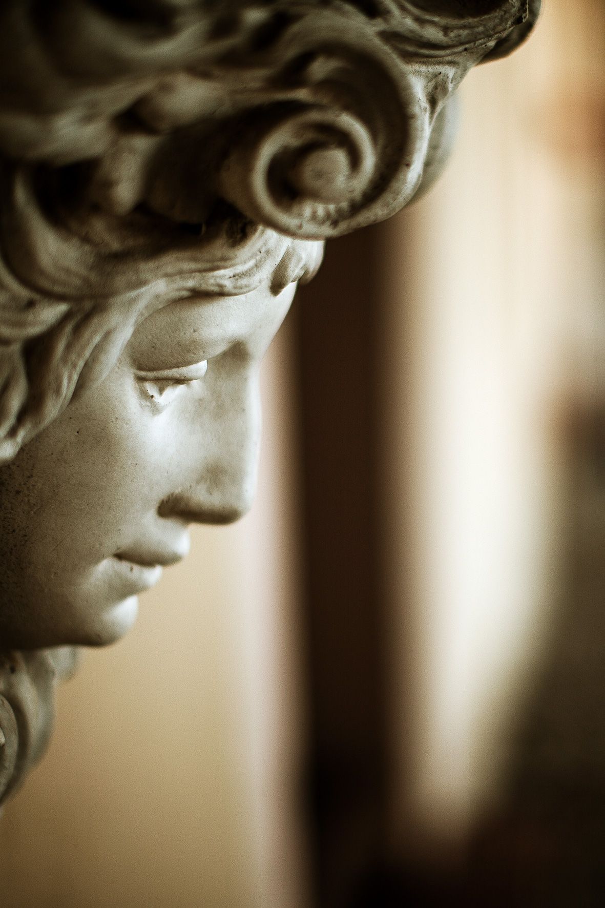 Artistic sepia photograph showing a classical stone sculpture with detailed curls, captured in dramatic side profile.