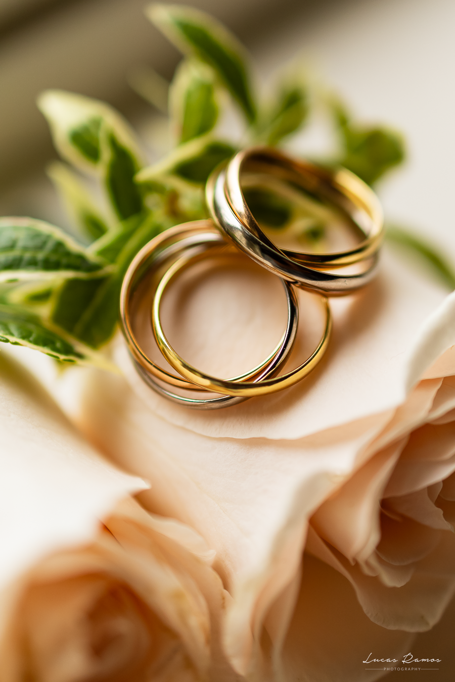 Luxury wedding detail in Ireland — elegant rings on florals from a refined castle celebration at Kilronan Castle.