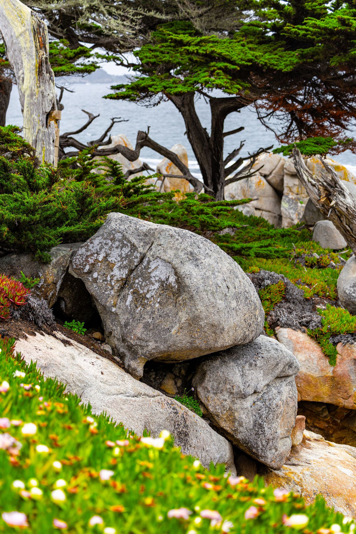 Pebble Beach