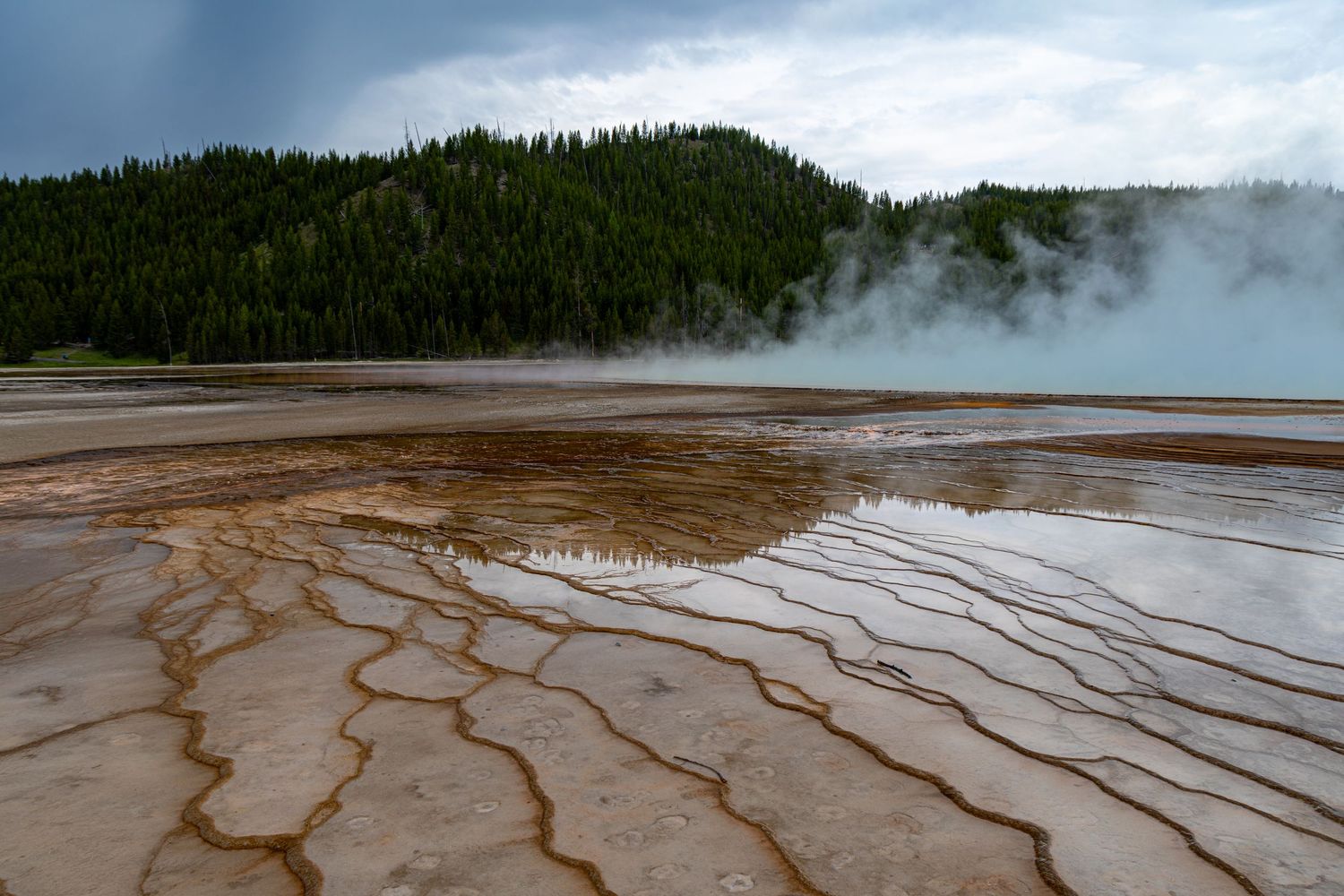 Colorful bacterial mats and steam form intricate patterns at Grand Prismatic Spring in Yellowstone National Park.