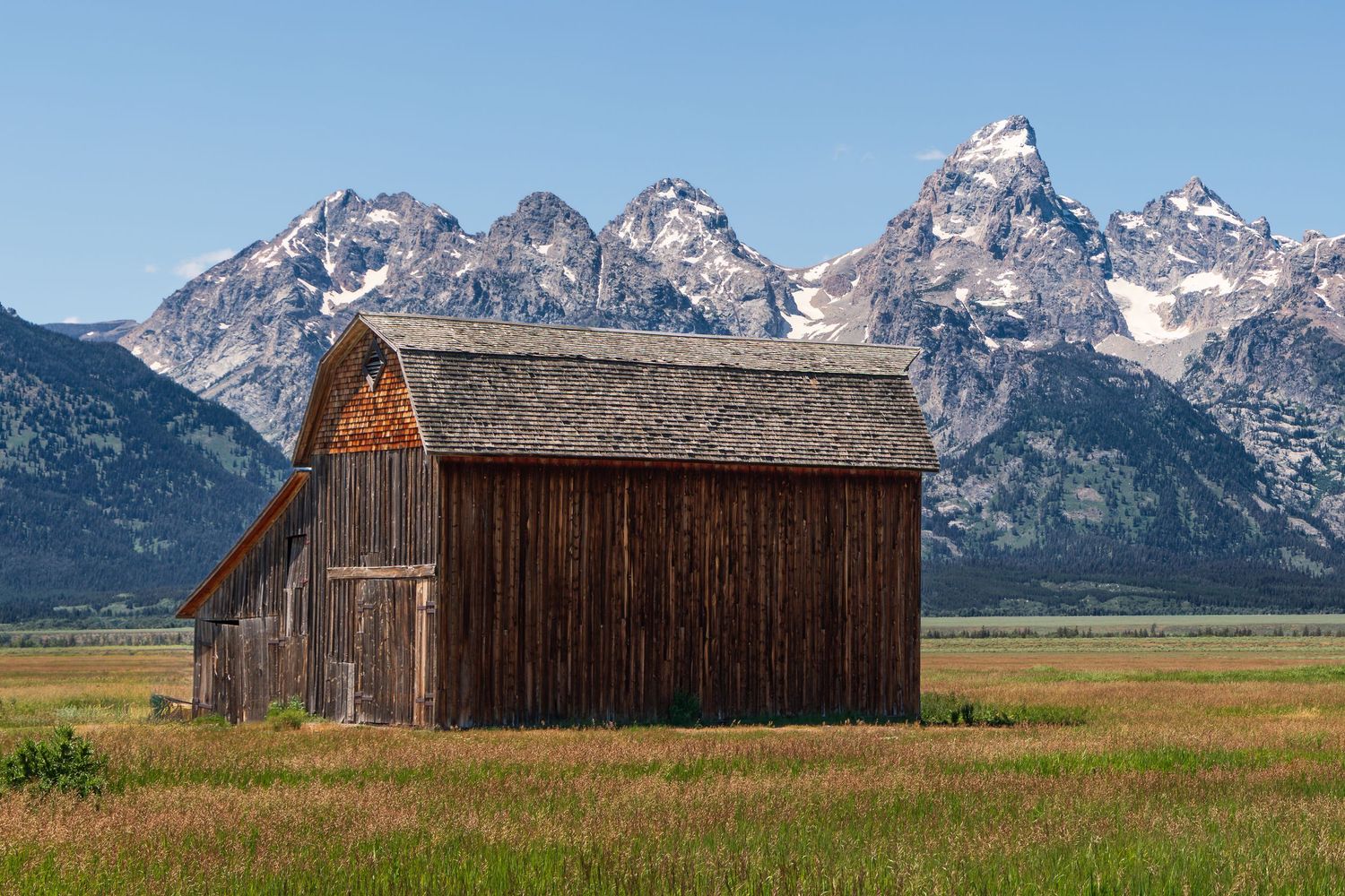 Rustic wooden barn stands in grassy field beneath dramatic Grand Teton mountain peaks in Wyoming.