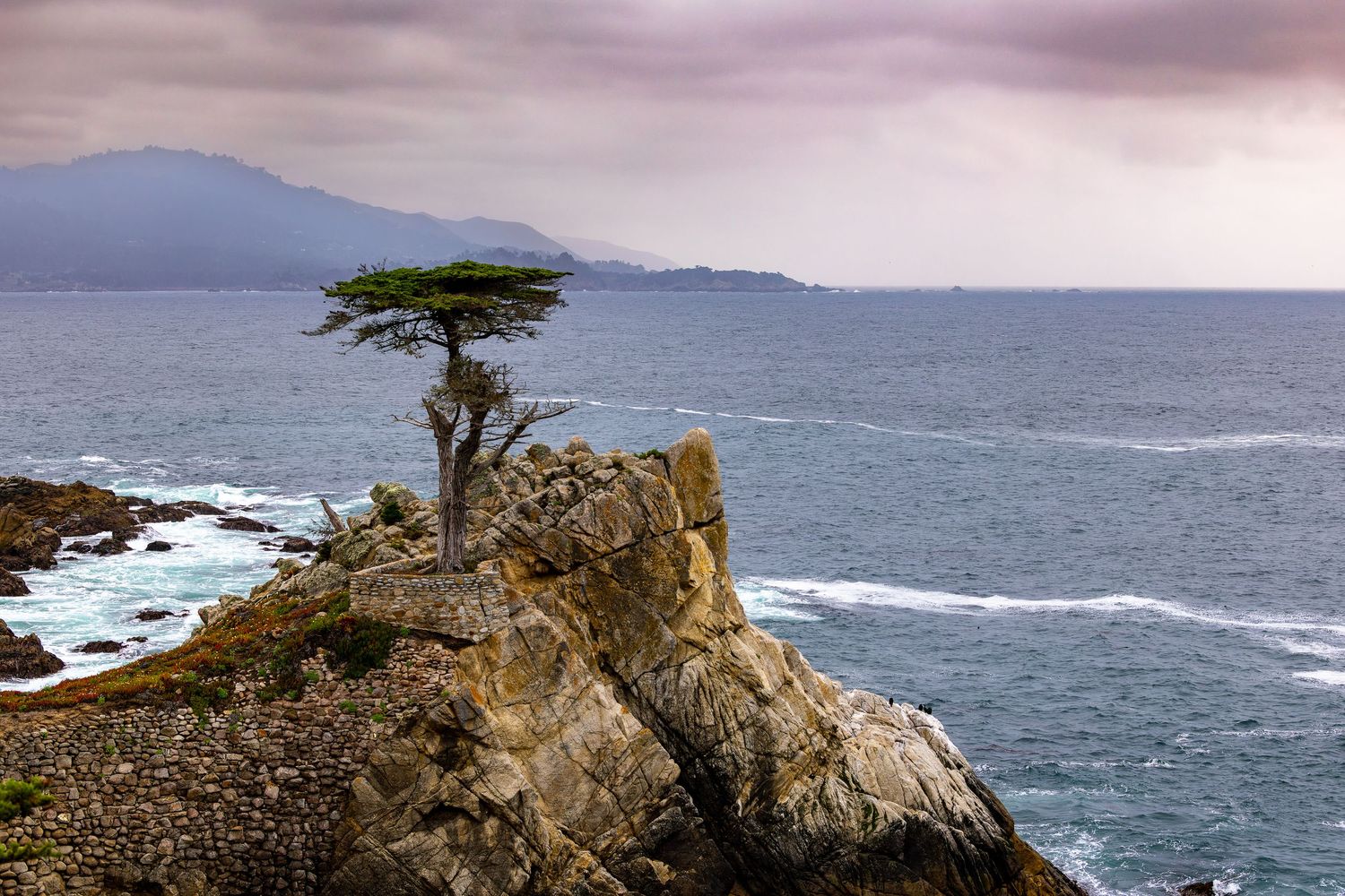 A lone cypress tree stands atop a rocky cliff overlooking the Pacific Ocean near Monterey, California on a stormy day.