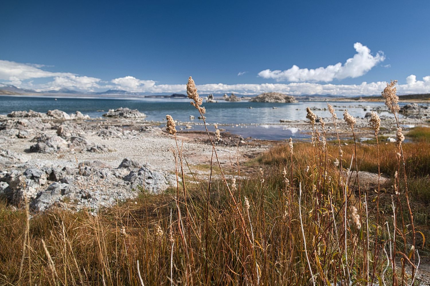Panoramic view of a coastal landscape with dry grass in the foreground and mountains rising above a blue bay.