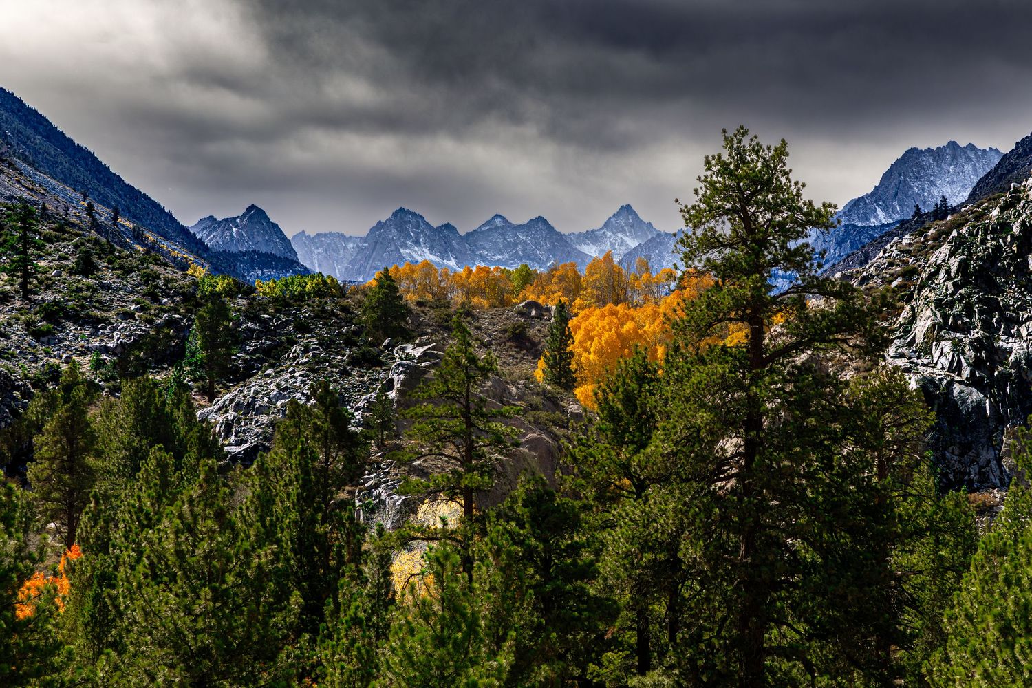 Dramatic mountain peaks rise above colorful autumn foliage and evergreen trees in a scenic alpine landscape.