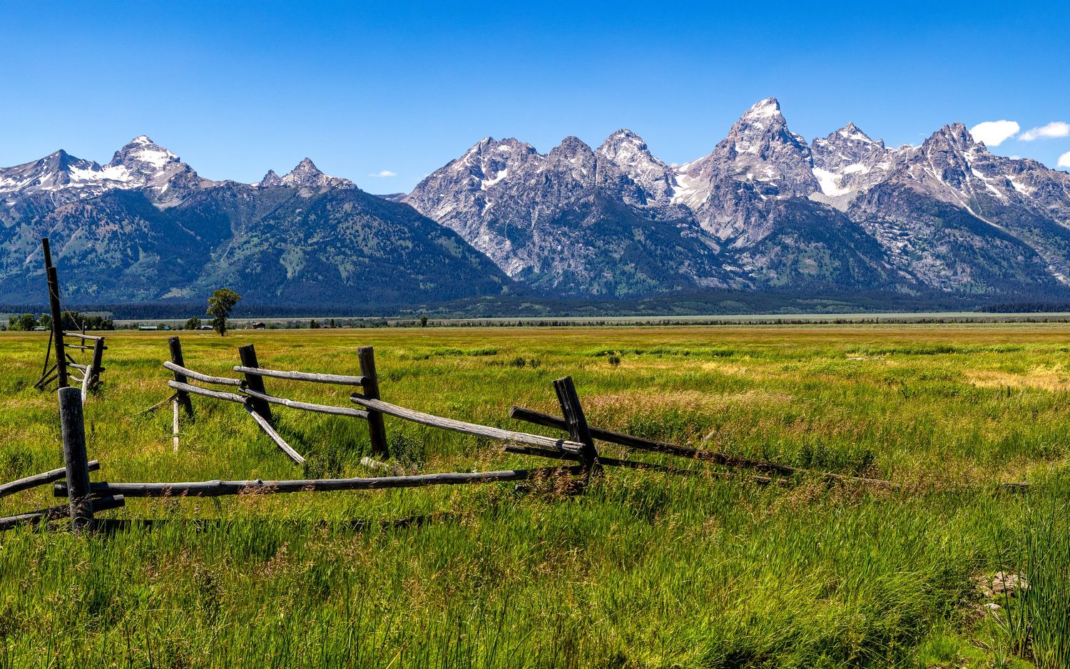 Grand Teton mountain range rises behind rustic wooden fence in green meadow.