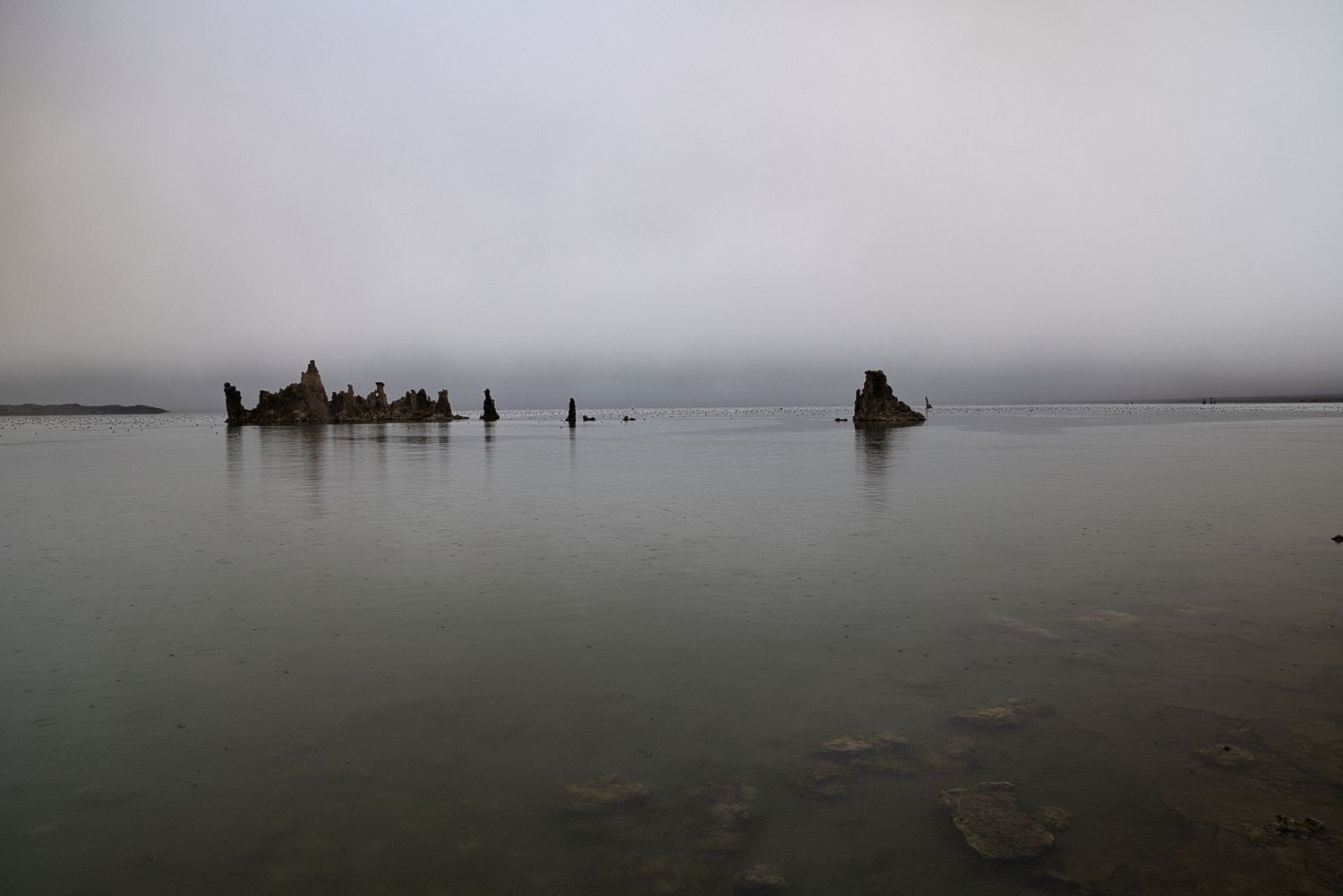 Dark silhouettes of wooden posts rise from calm misty waters on a foggy day creating an eerie atmosphere.