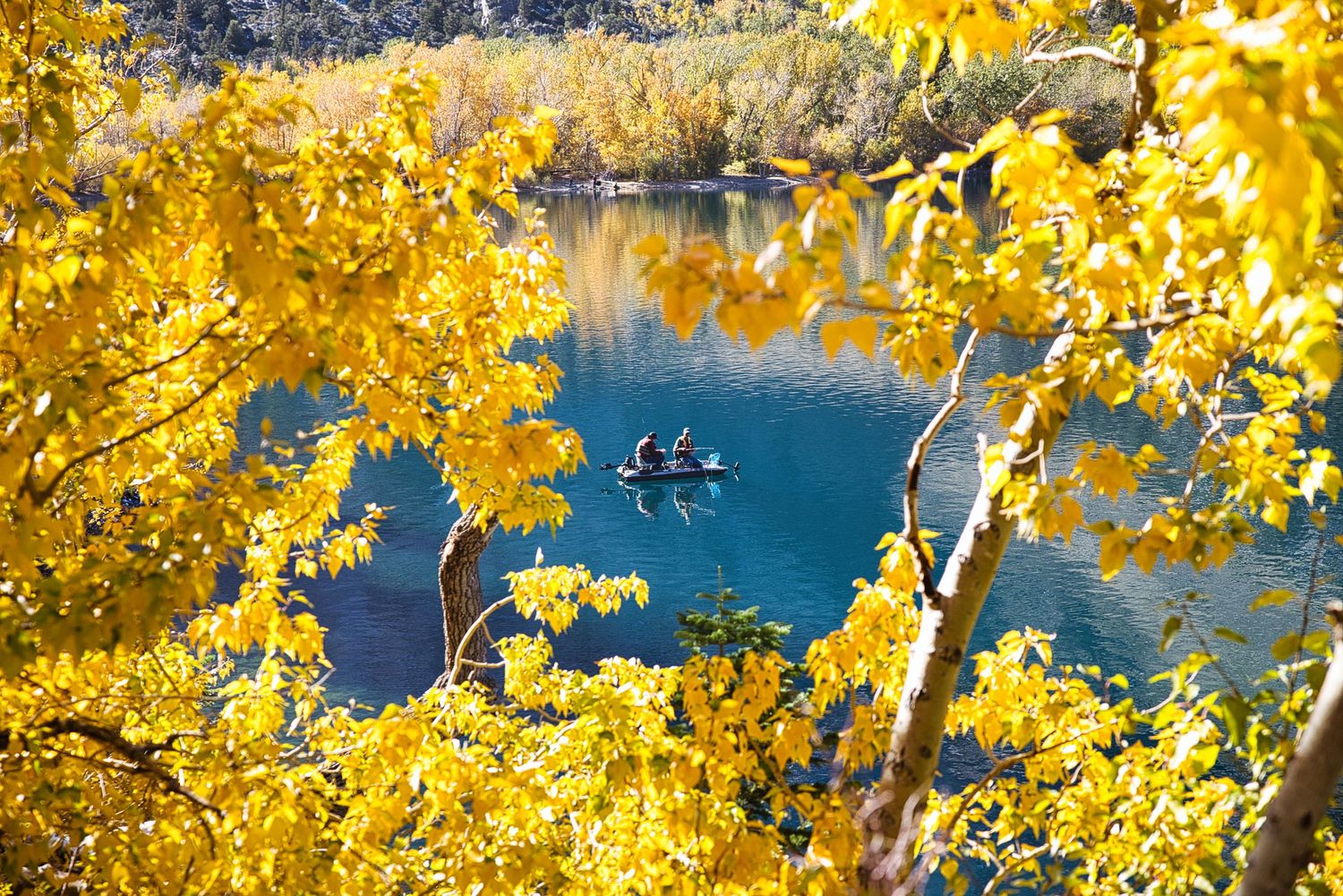Vibrant yellow autumn leaves frame a serene blue lake with kayakers paddling in the distance.