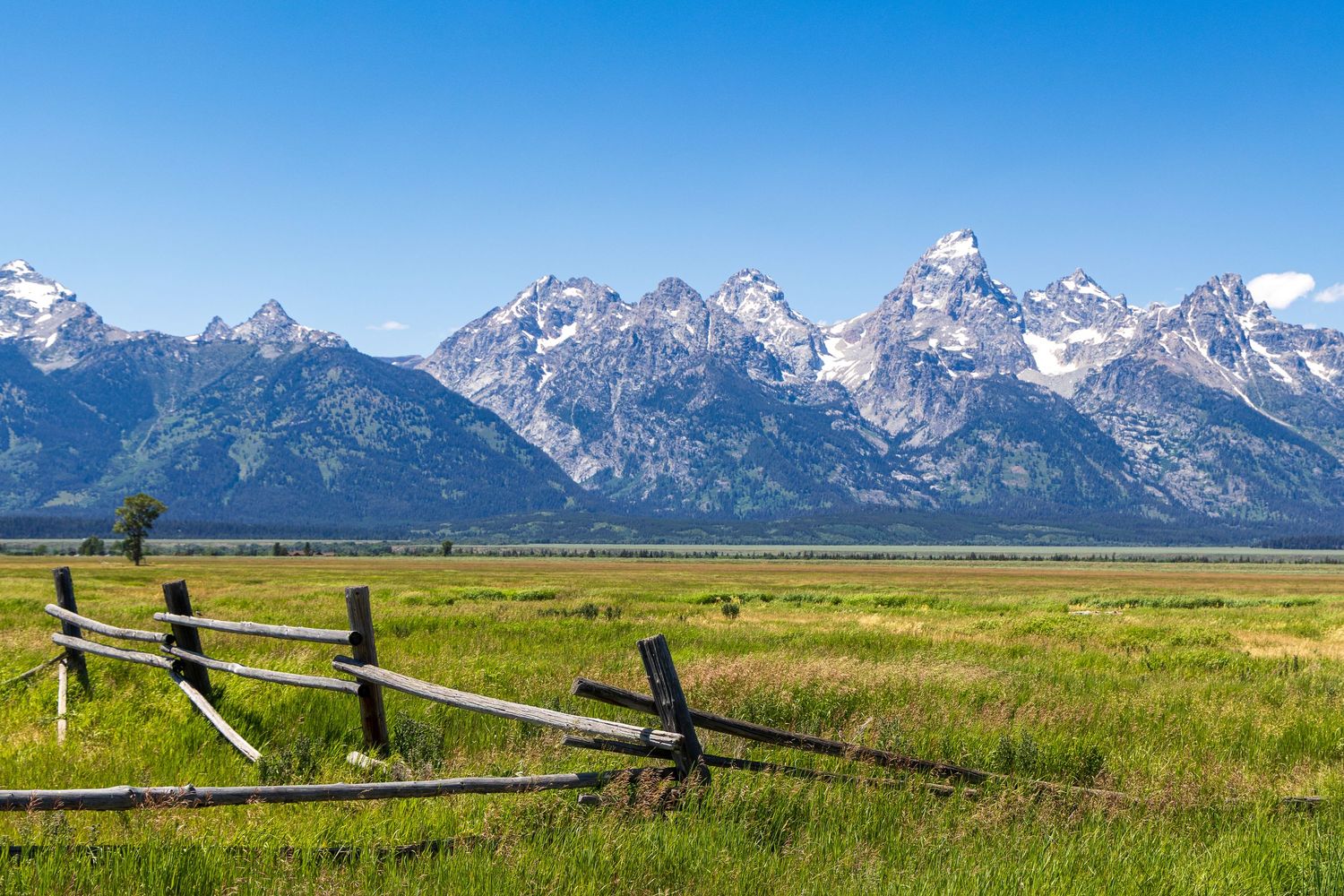 A rustic wooden fence stretches across a green meadow with the majestic Grand Teton mountain range rising in the background.