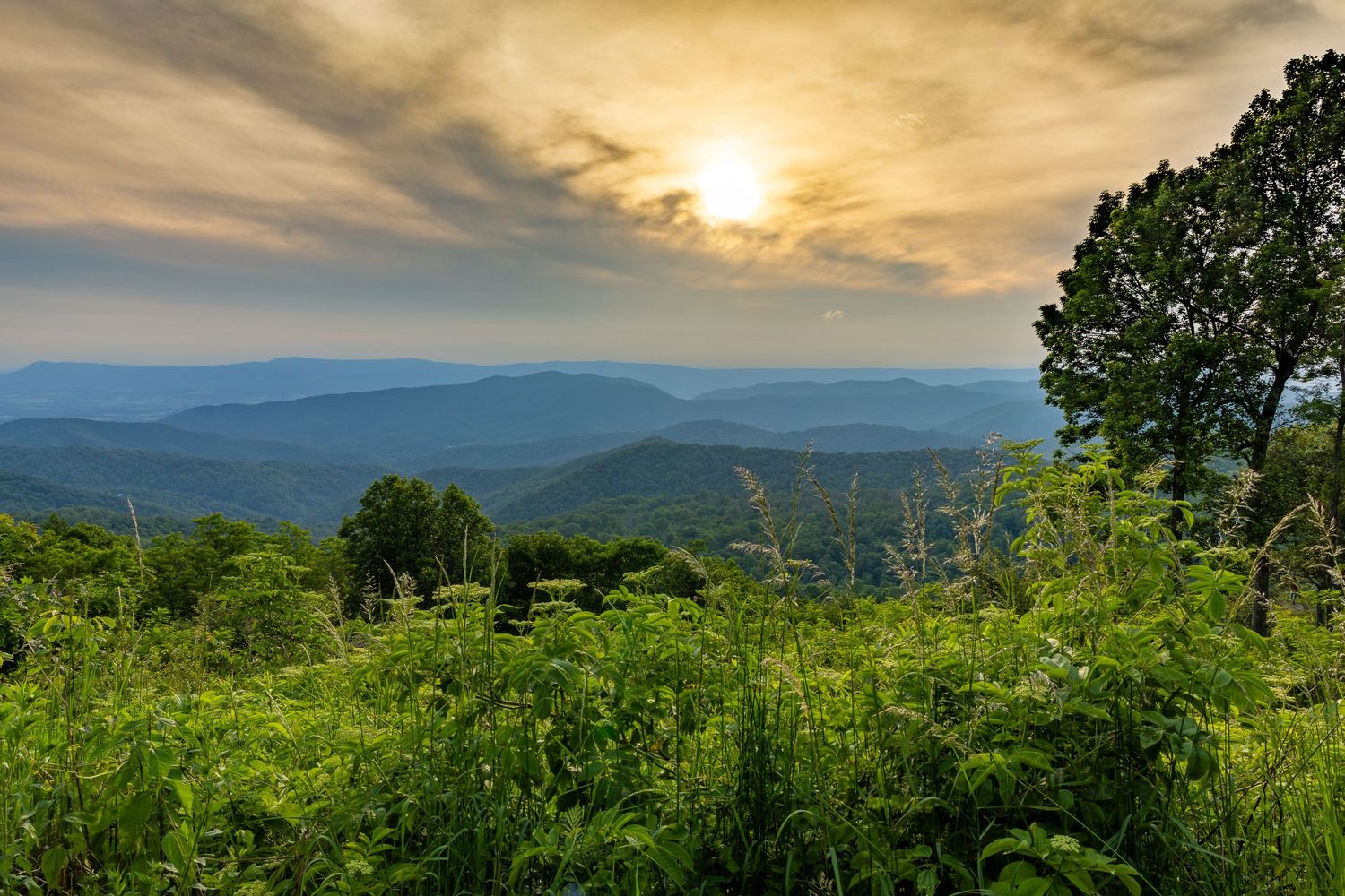 Panoramic sunset view over lush green Appalachian mountain ridges with dramatic cloudy sky and wildflowers in foreground.