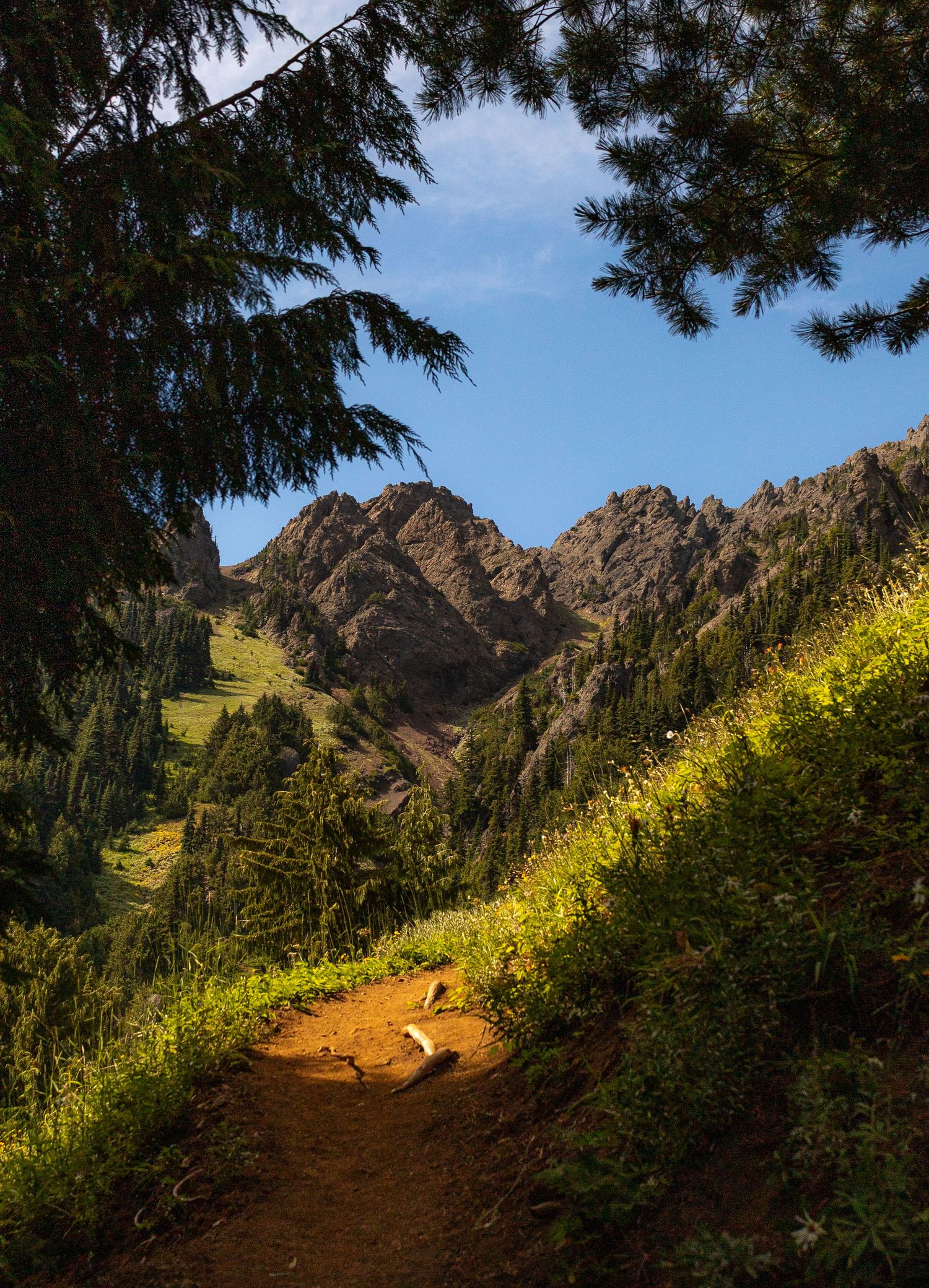 Washington Mountains