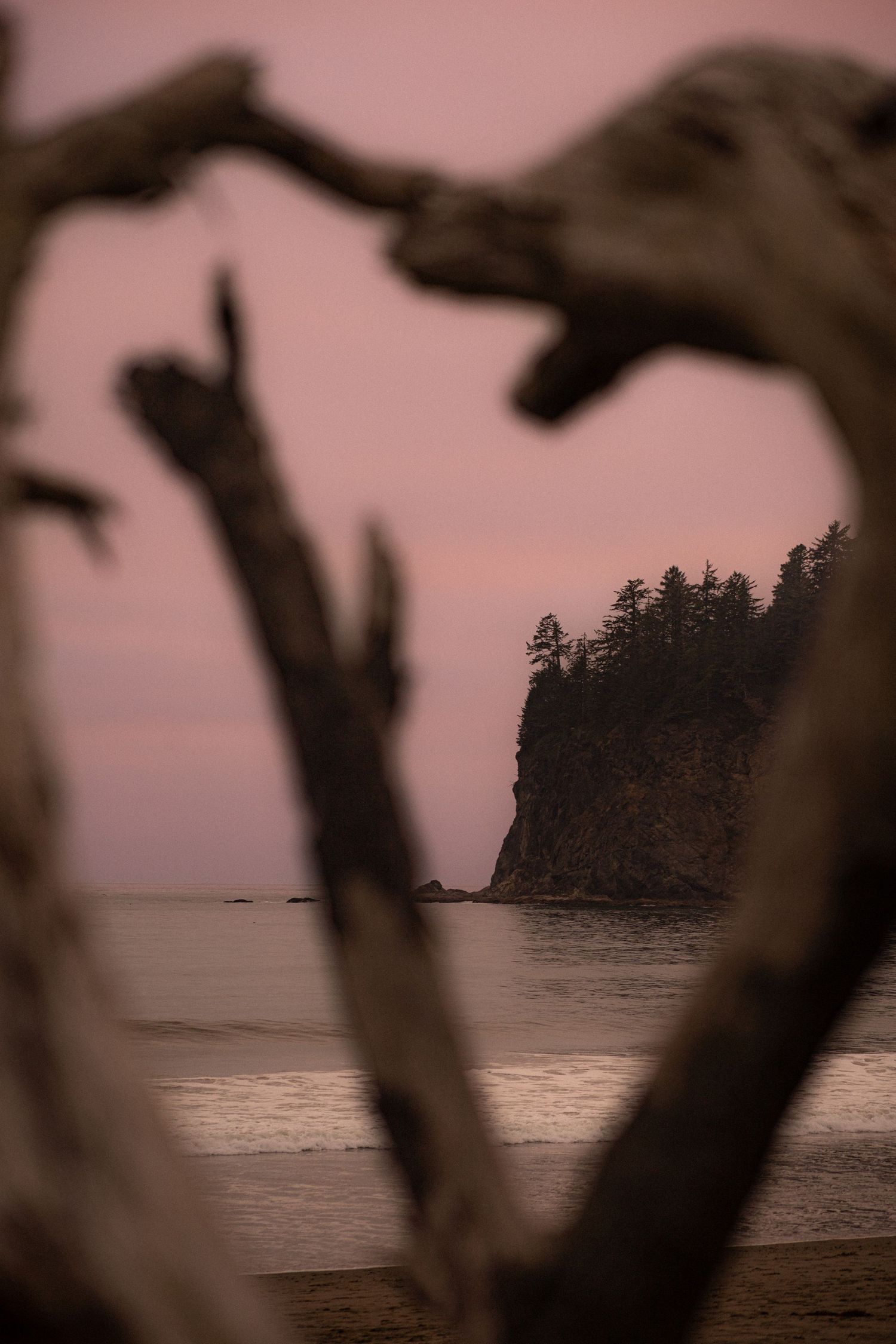 La Push Beach, WA