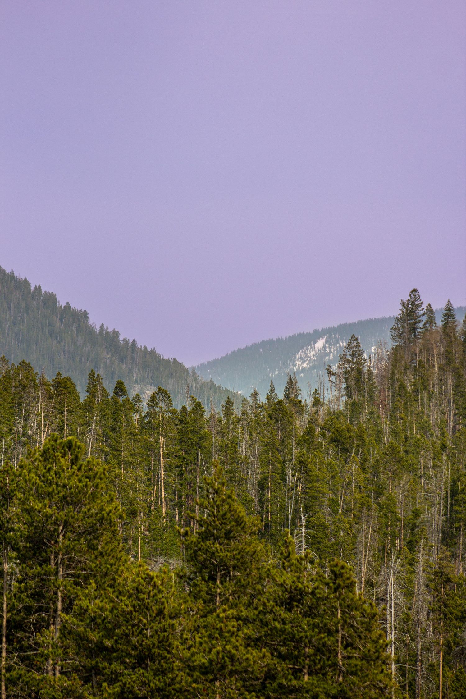 Colorado