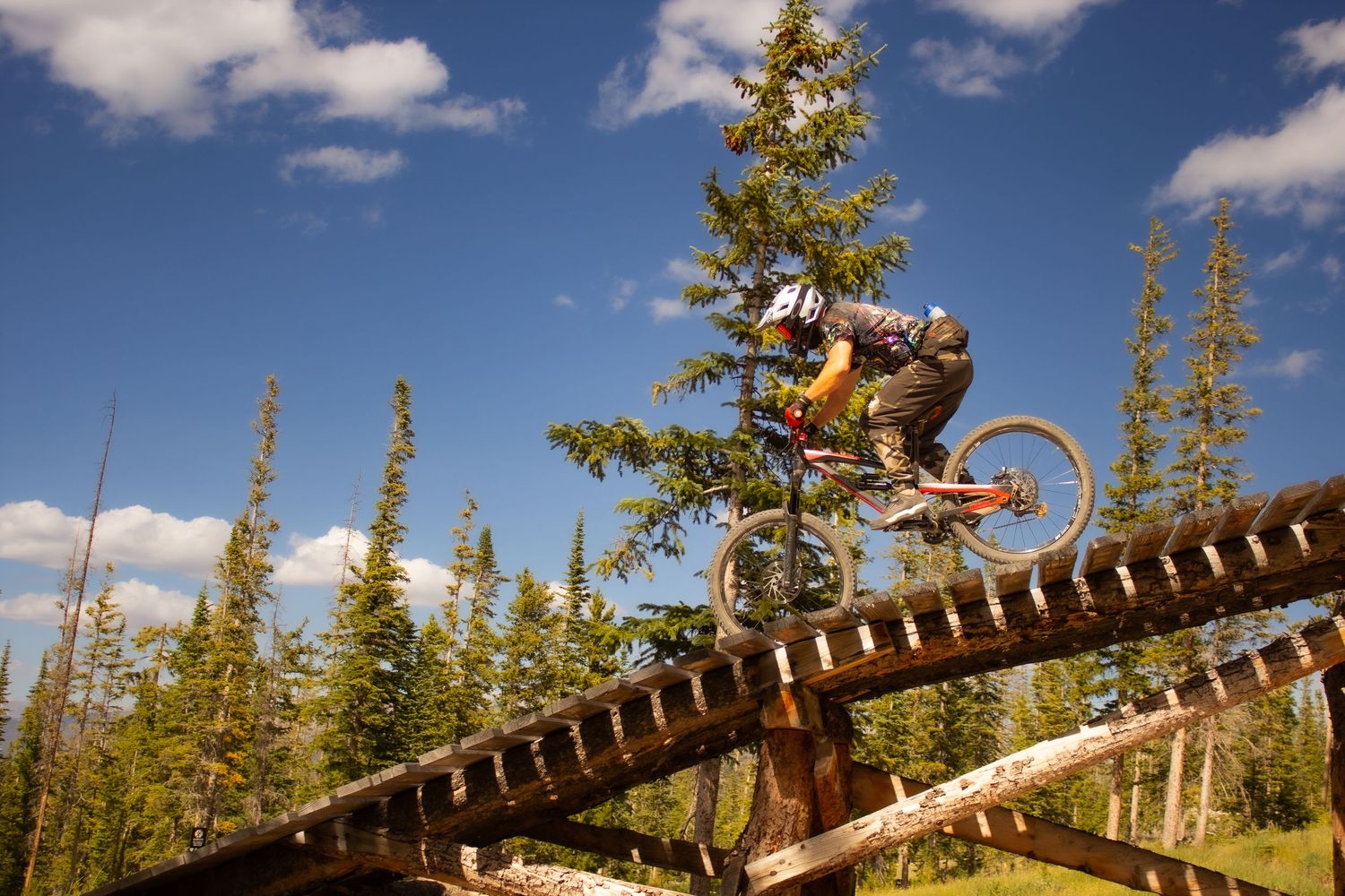 Downhill Mountain Biking in Colorado