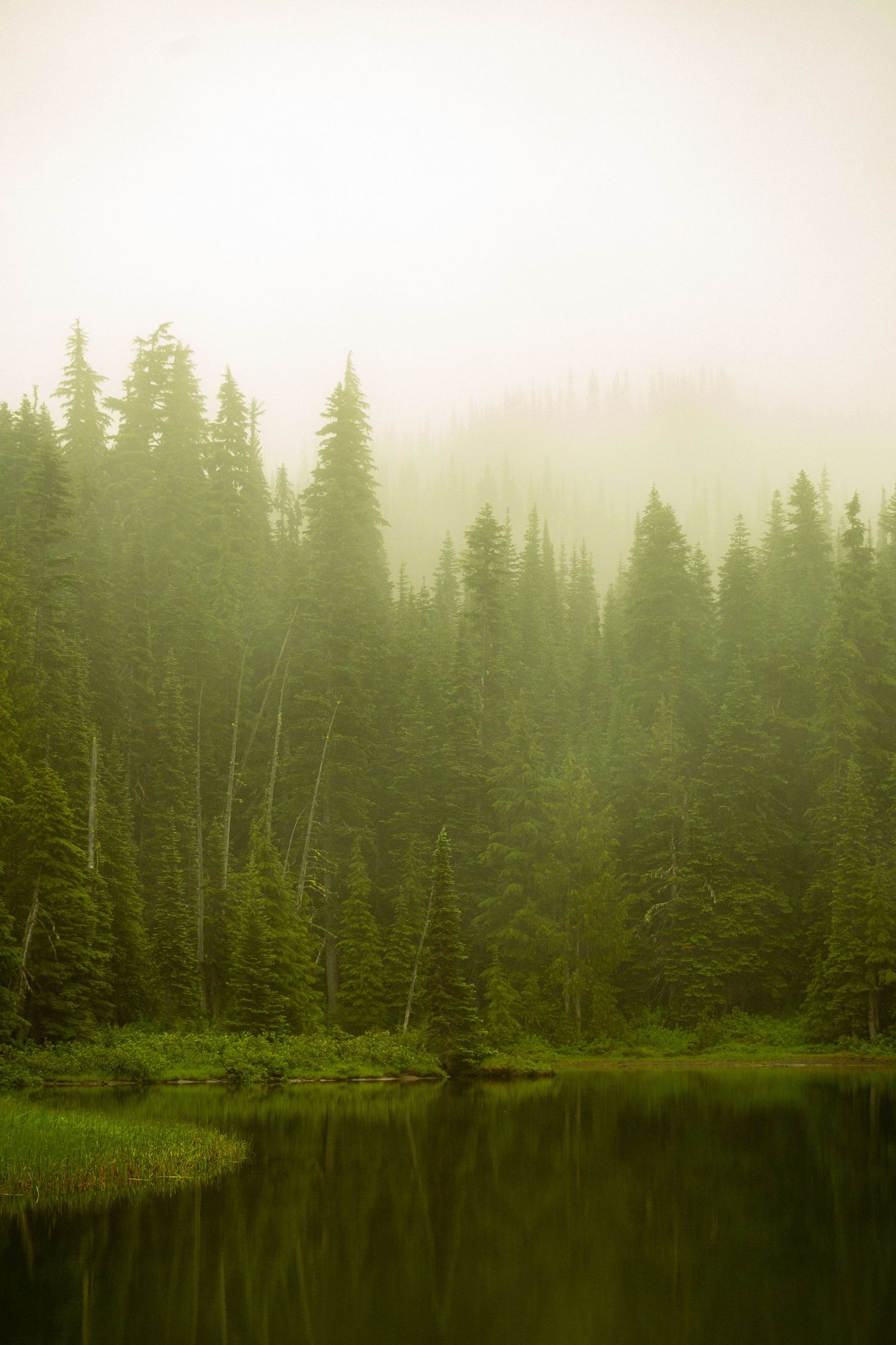 Mount Rainier National Park