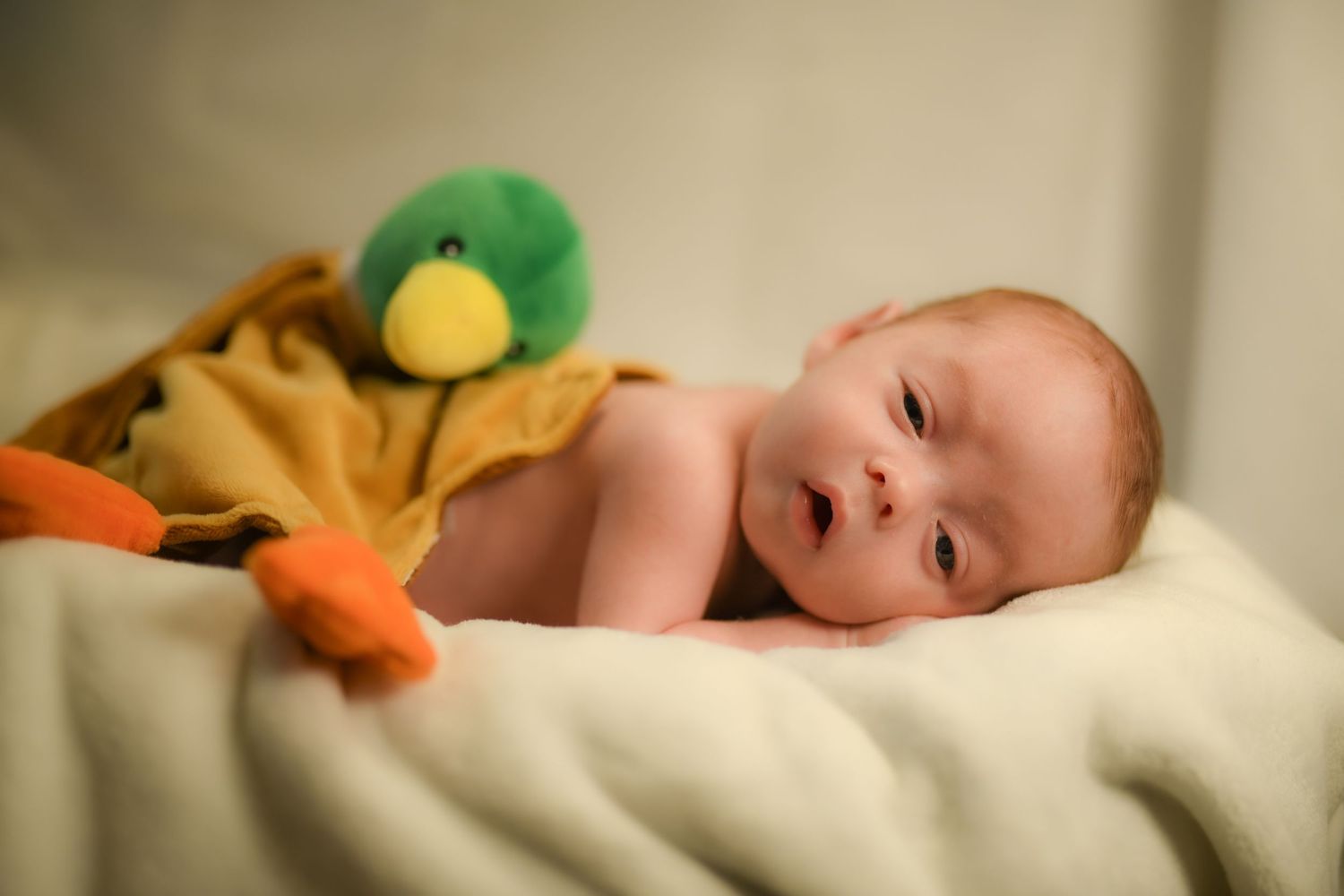 Portfolio Photo of Grit and Grace Photography NC