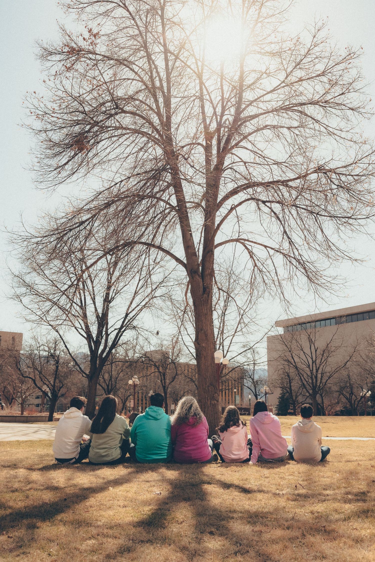 Large multigenerational family sitting together on the grass with their backs to the camera during an outdoor family session