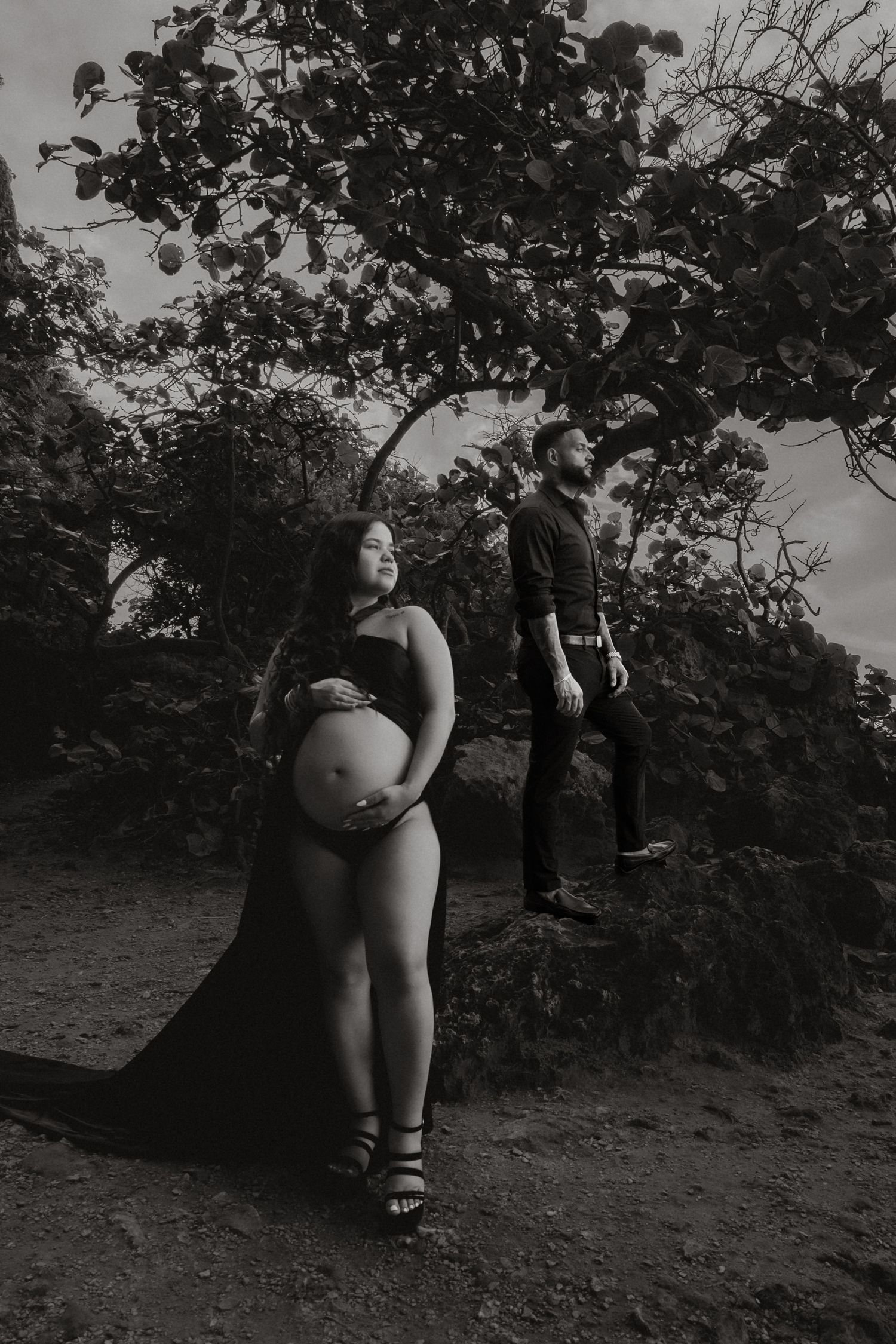 Black and white maternity portrait of an expecting couple posing beneath tropical trees