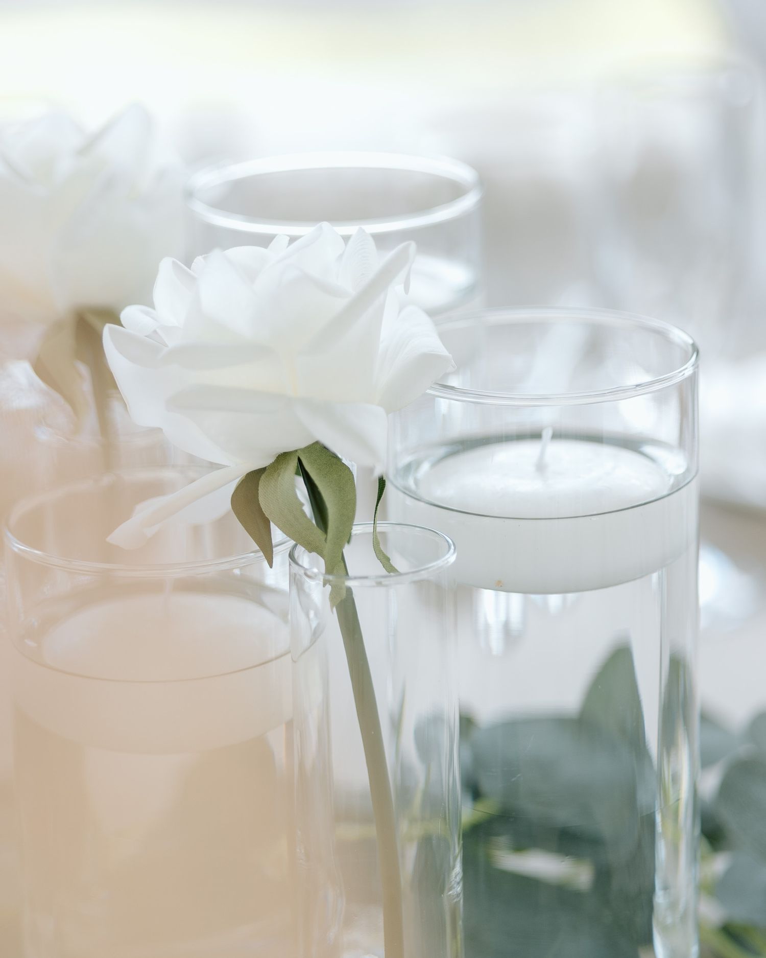 White rose in full bloom next to clear water glasses on an elegant table setting.