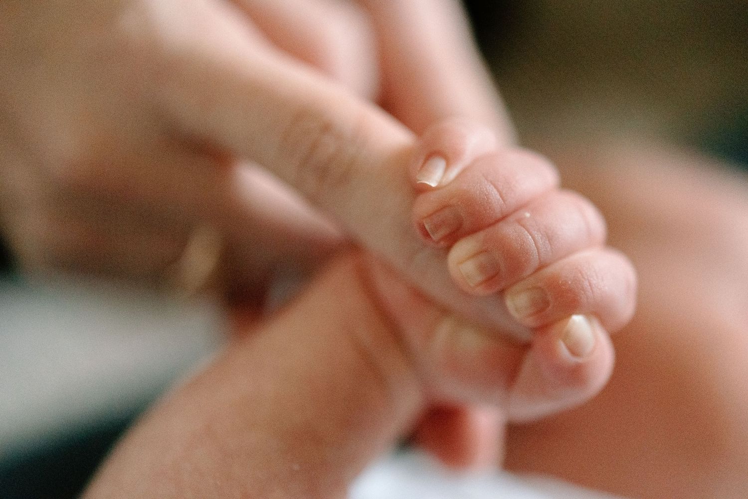 Close-up photo of adult hands gently holding tiny baby fingers in soft natural light.