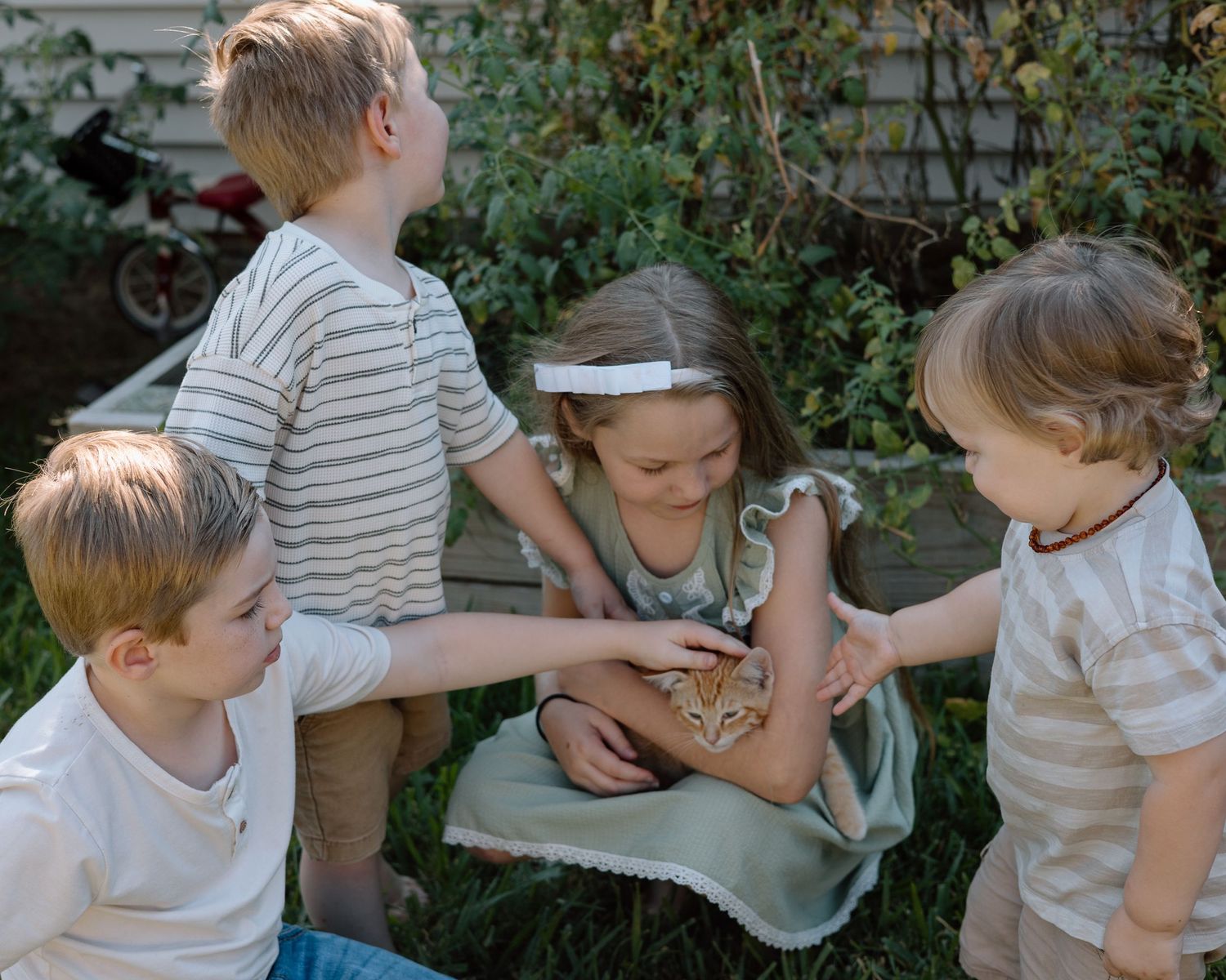 Four children sit together outdoors examining something in a dress pocket on a sunny afternoon.