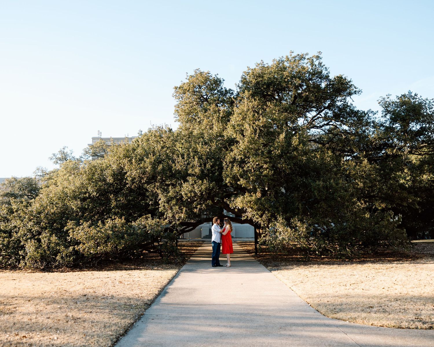 Couple embracing on a pathway beneath a large sprawling oak tree outdoors on a sunny day.