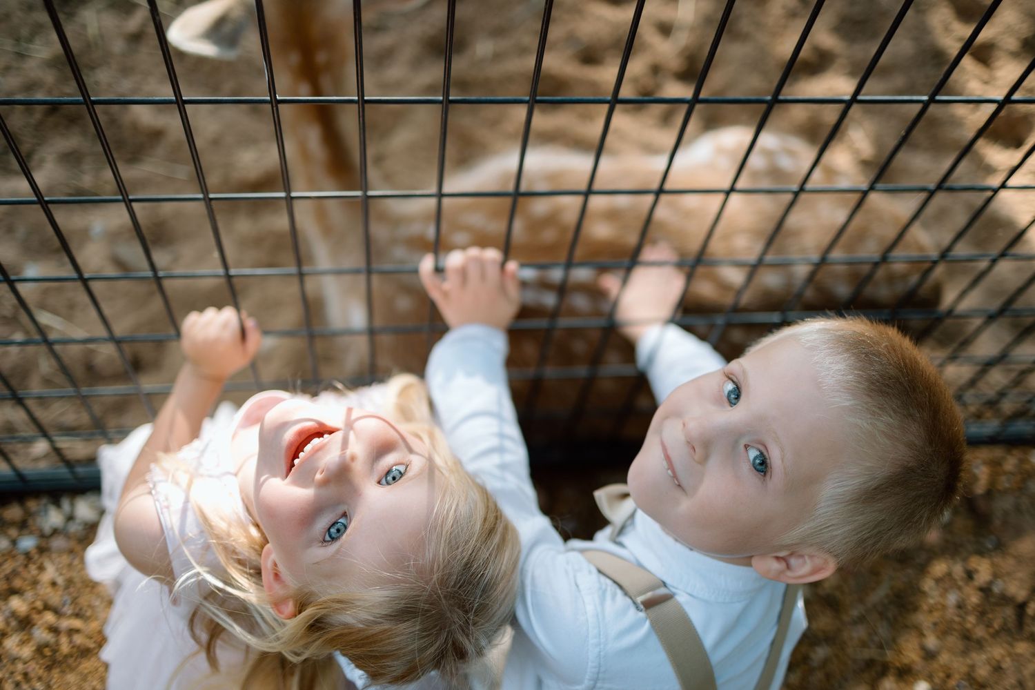 Two young children looking up through metal bars with joyful expressions.