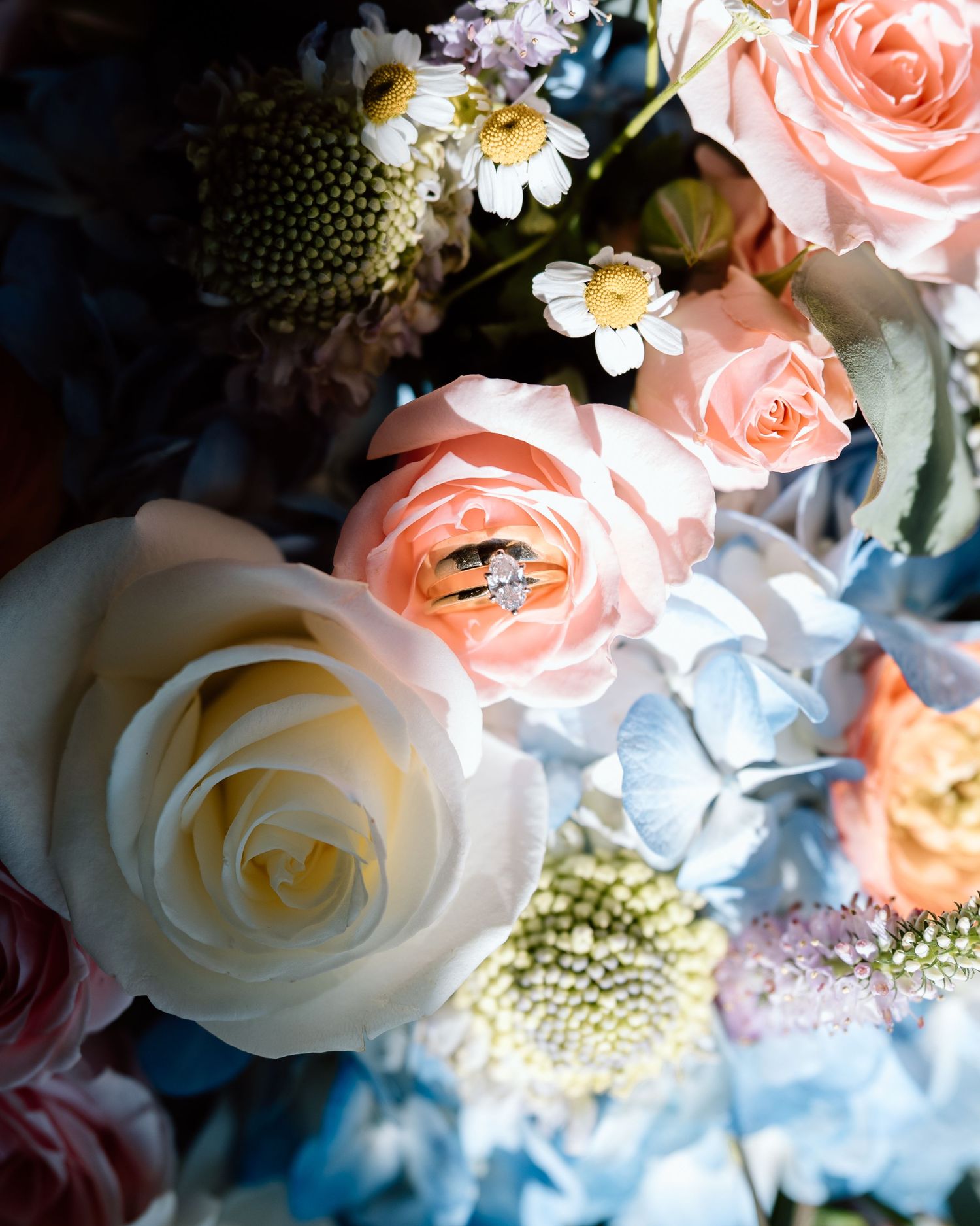 A stunning wedding ring resting on a lush bouquet of white and peach roses with blue hydrangeas.
