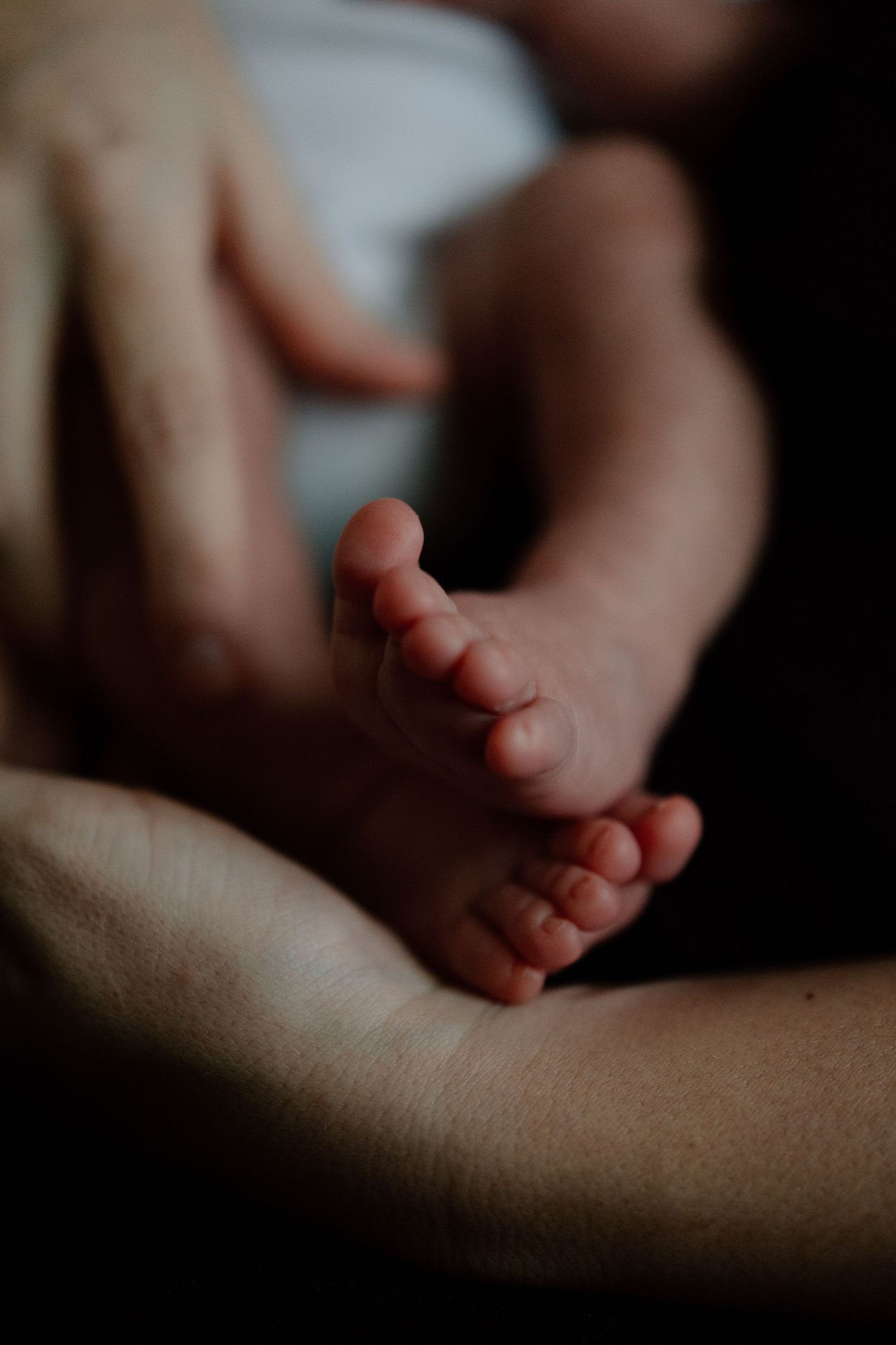 Close-up of tiny newborn baby feet resting on adult's arm in soft, moody lighting.