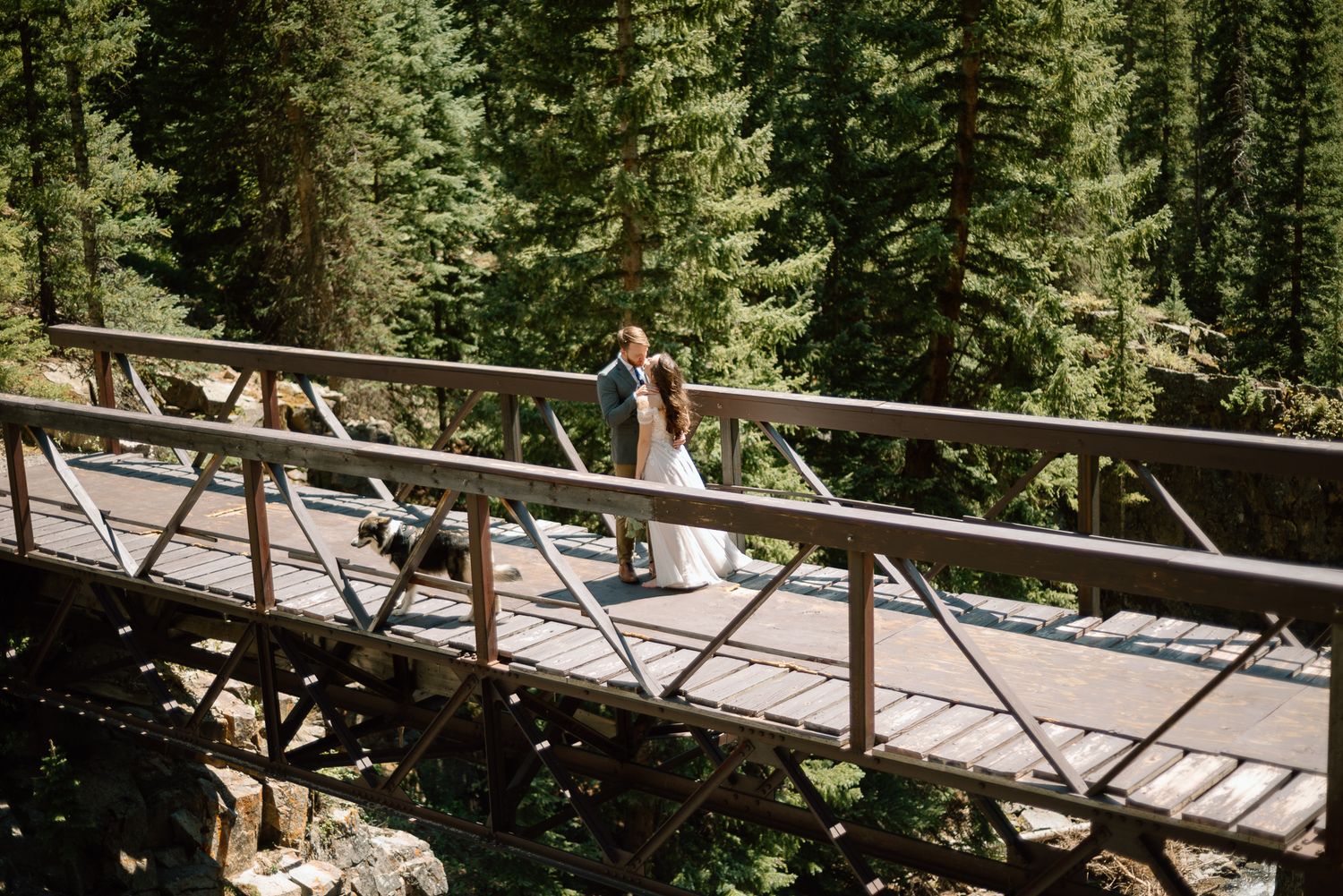 Wedding photo on a rustic wooden footbridge spanning a mountain stream surrounded by pine forest.