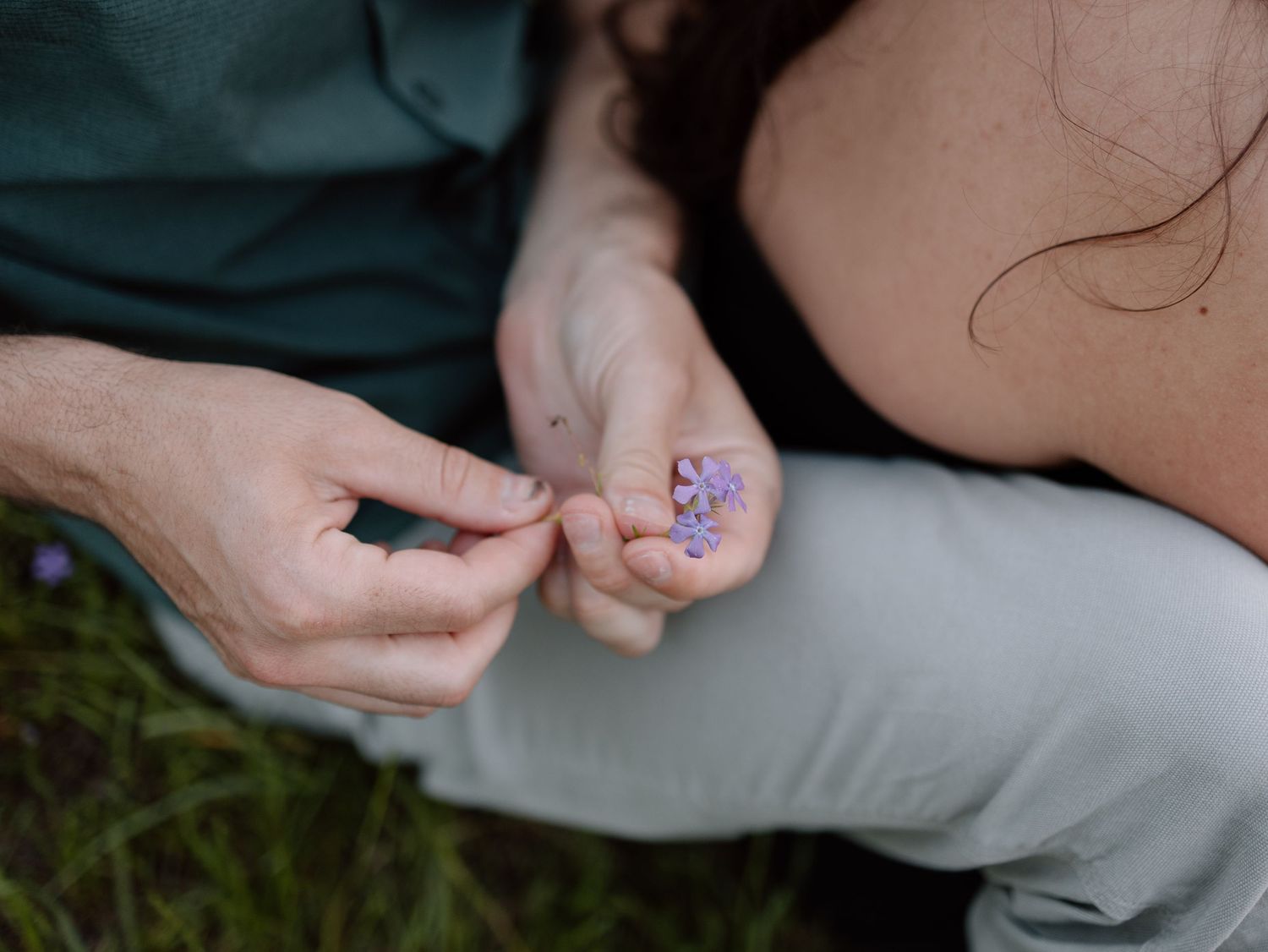 Close-up of hands holding small purple flowers in an outdoor setting.