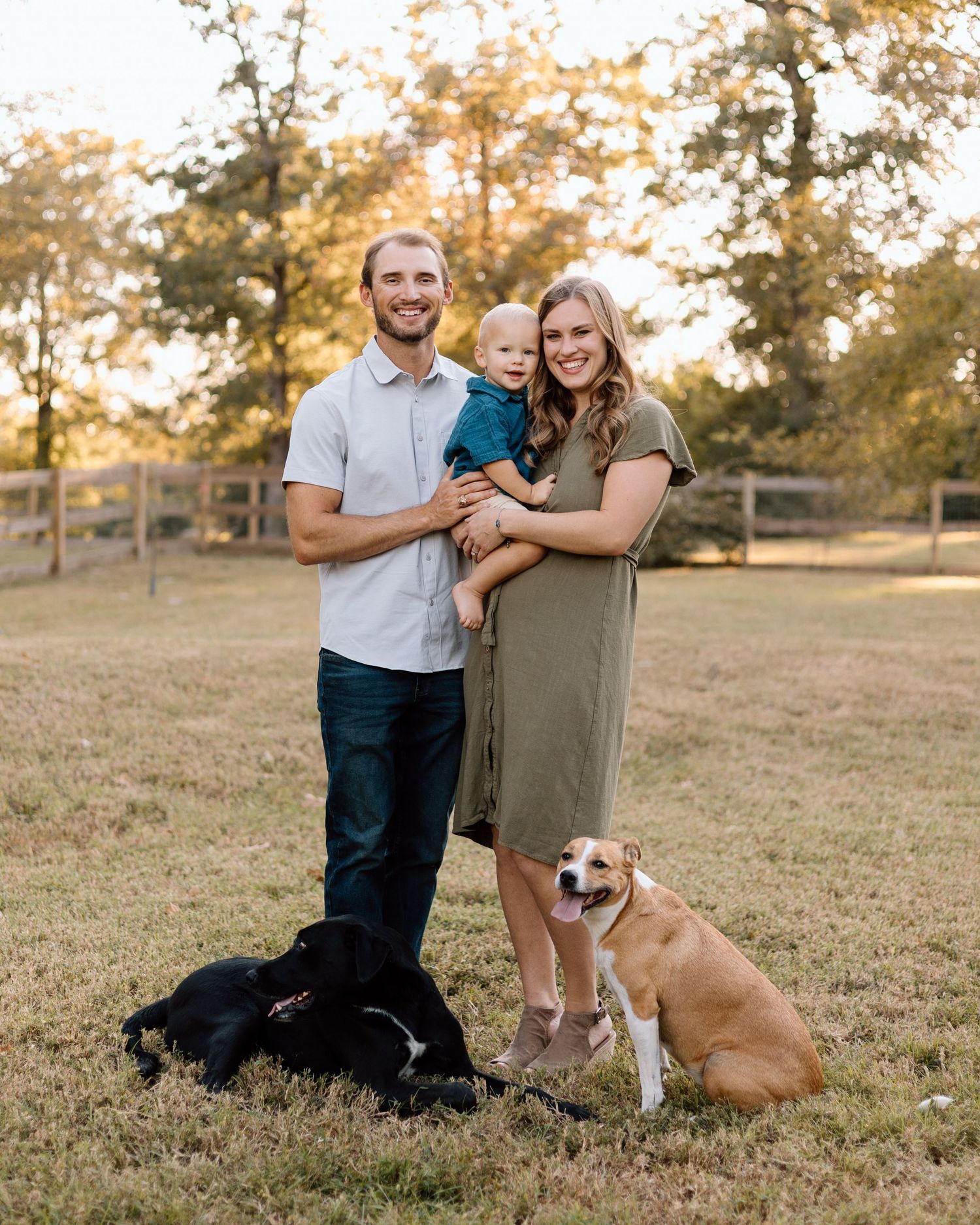 A young family with a toddler and two dogs poses outdoors in a grassy field during golden hour.