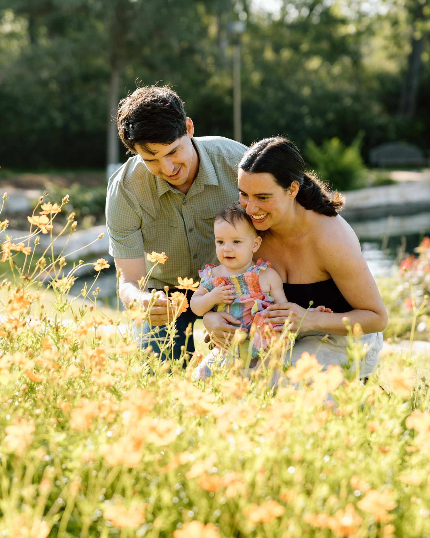 A happy young family with a baby sits among golden wildflowers in a sunlit garden, smiling and enjoying nature together.