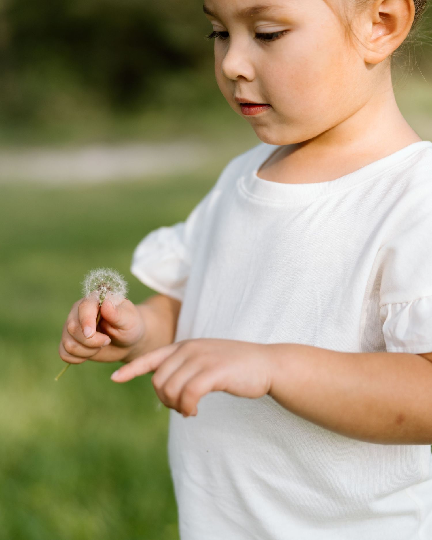 Young girl in white dress holding a dandelion seed head outdoors in a green field.