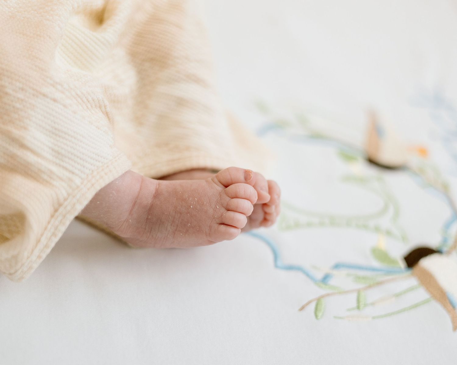 Close-up of tiny newborn baby toes peeking out from a soft cream knit blanket on a white surface.