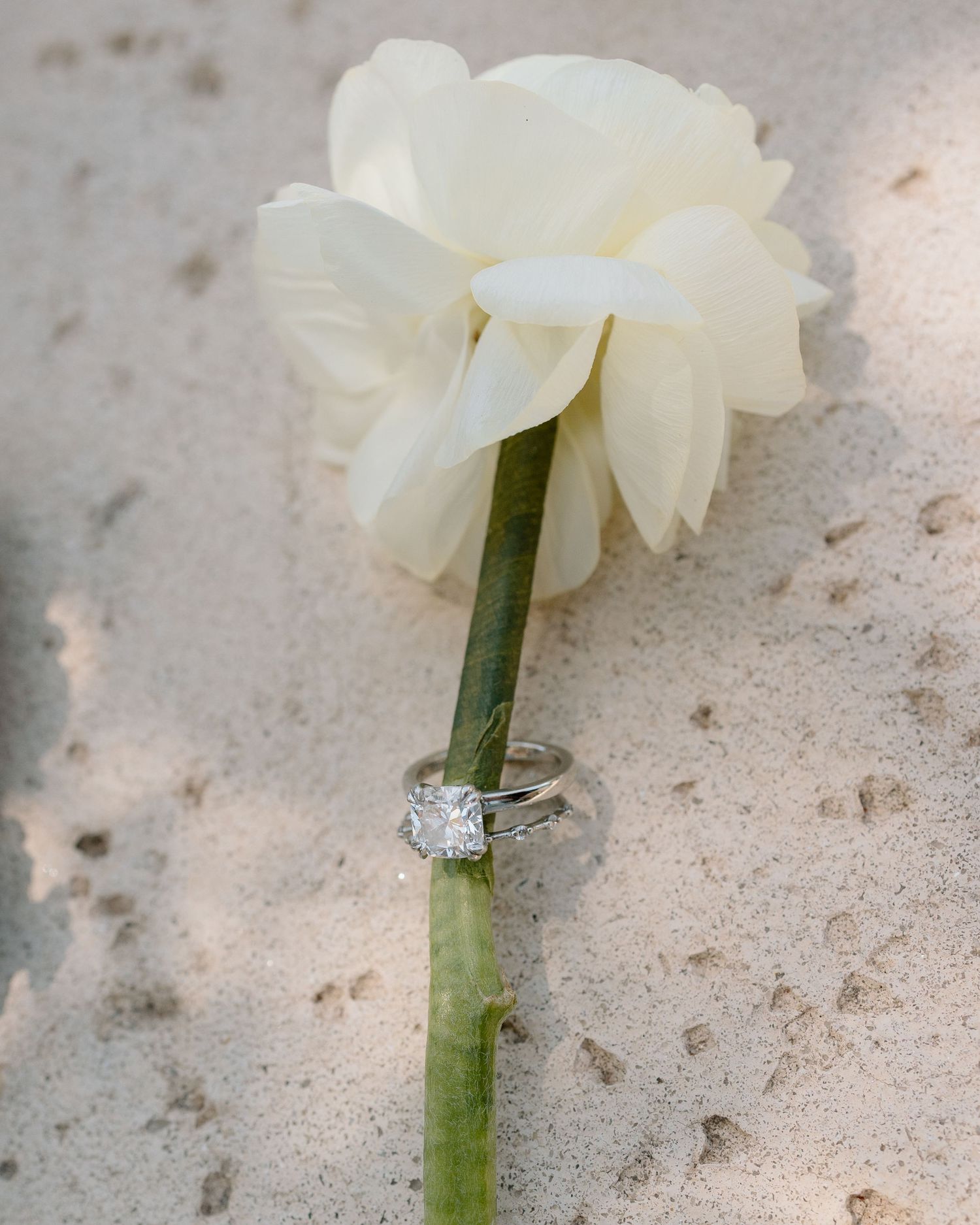 White flower with diamond engagement ring wrapped around its green stem.