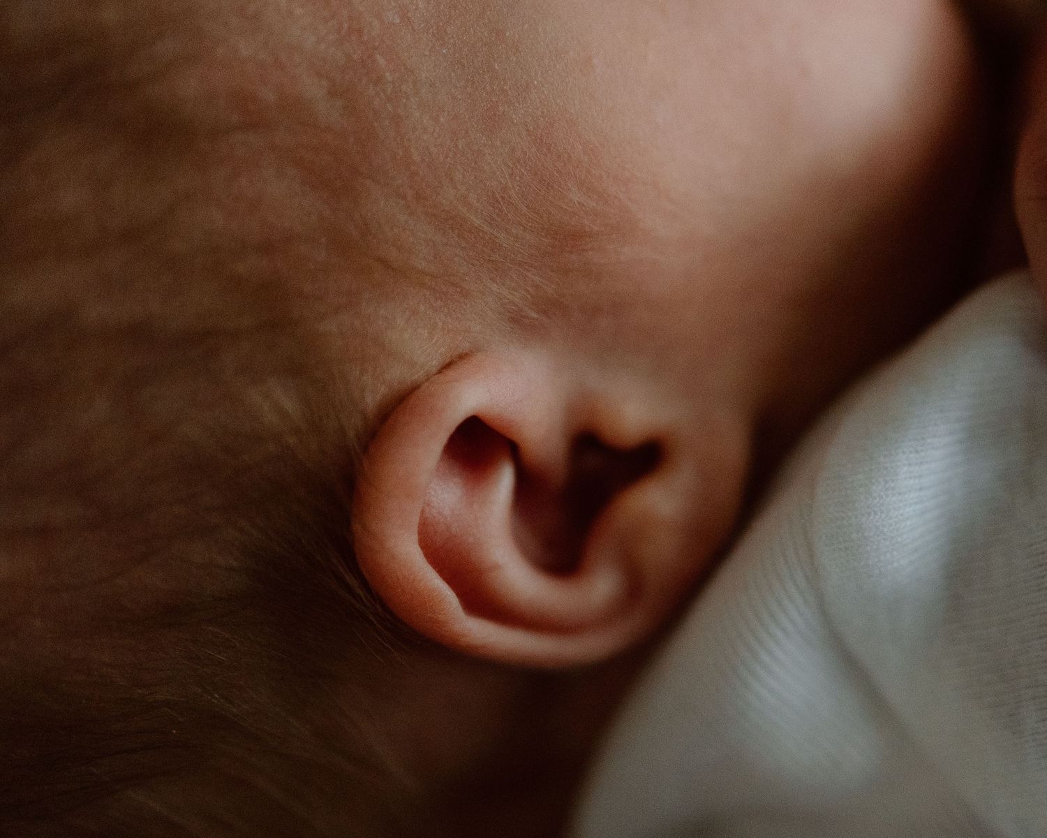 Close-up macro photograph of a tiny baby's ear against a soft, blurry background.