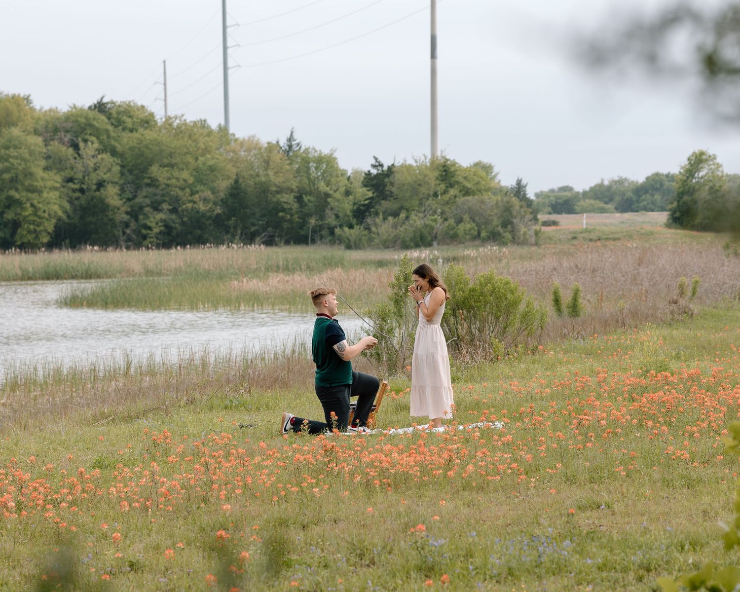 A marriage proposal scene in a meadow filled with orange wildflowers documentary photography college station Texas.