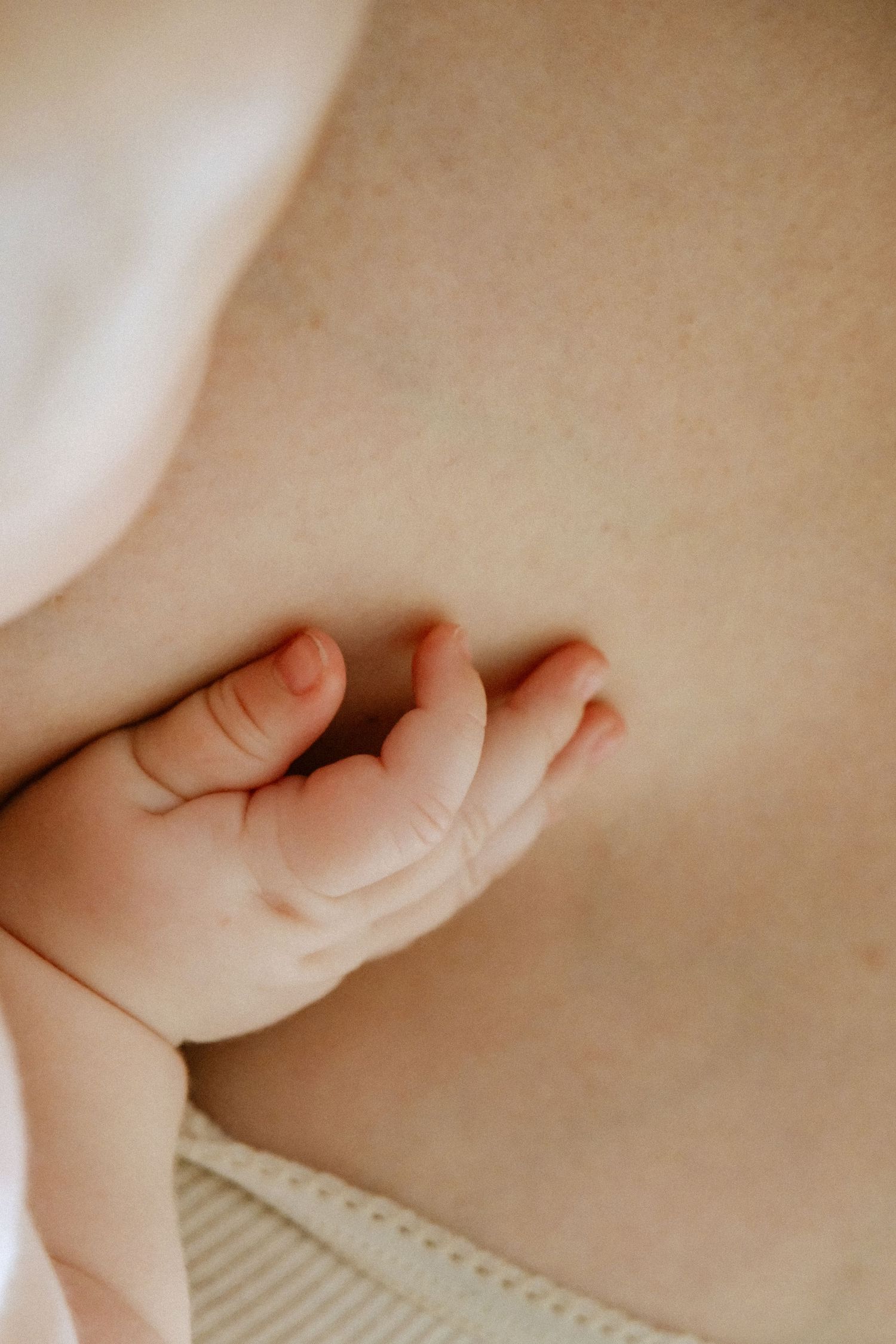 séance allaitement studio marie masson photographe illustratrice saint omer bébé naissance