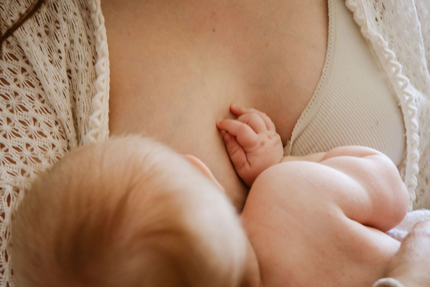 séance allaitement studio marie masson photographe illustratrice saint omer bébé naissance
